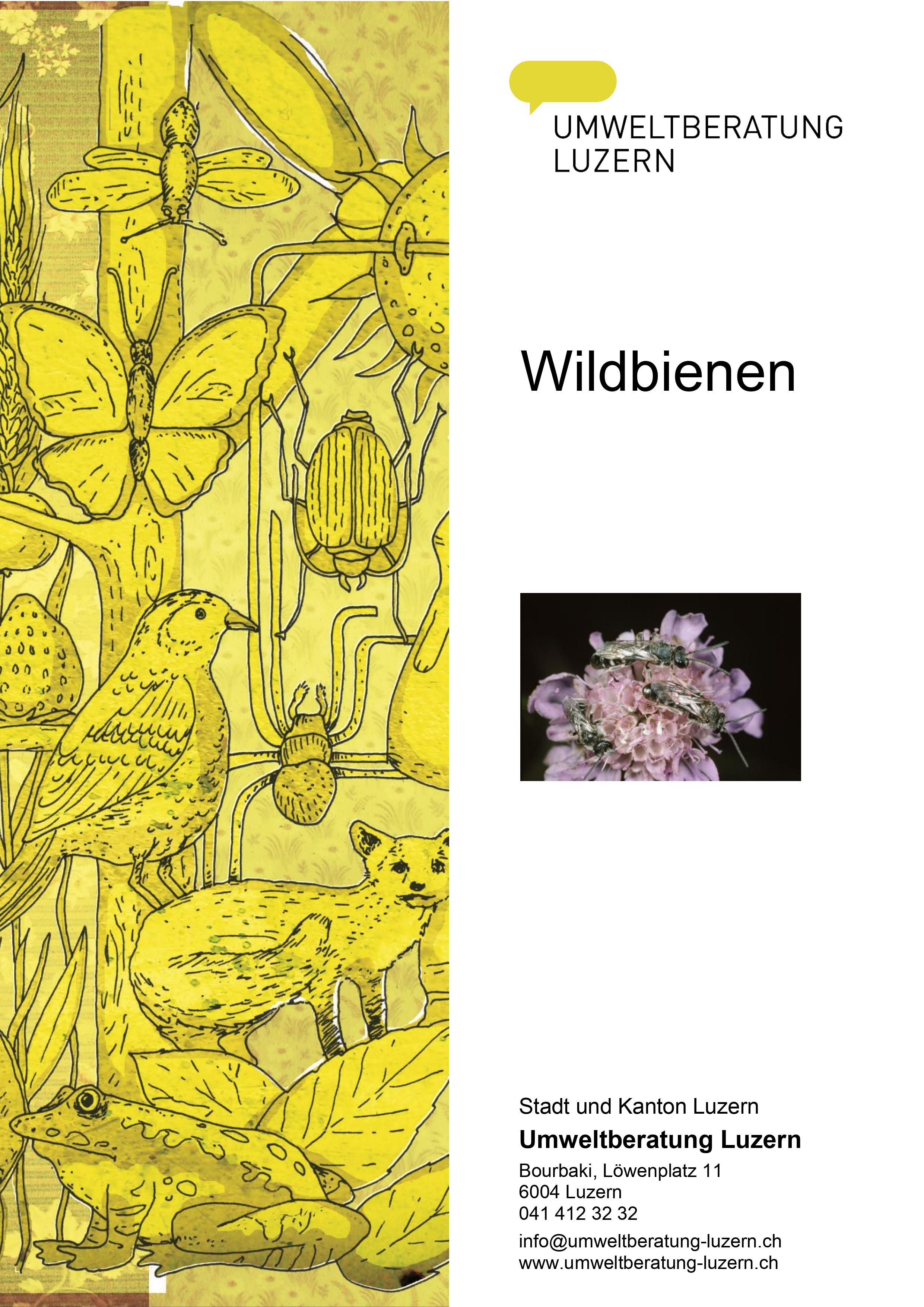 Titelblatt Wildbienen