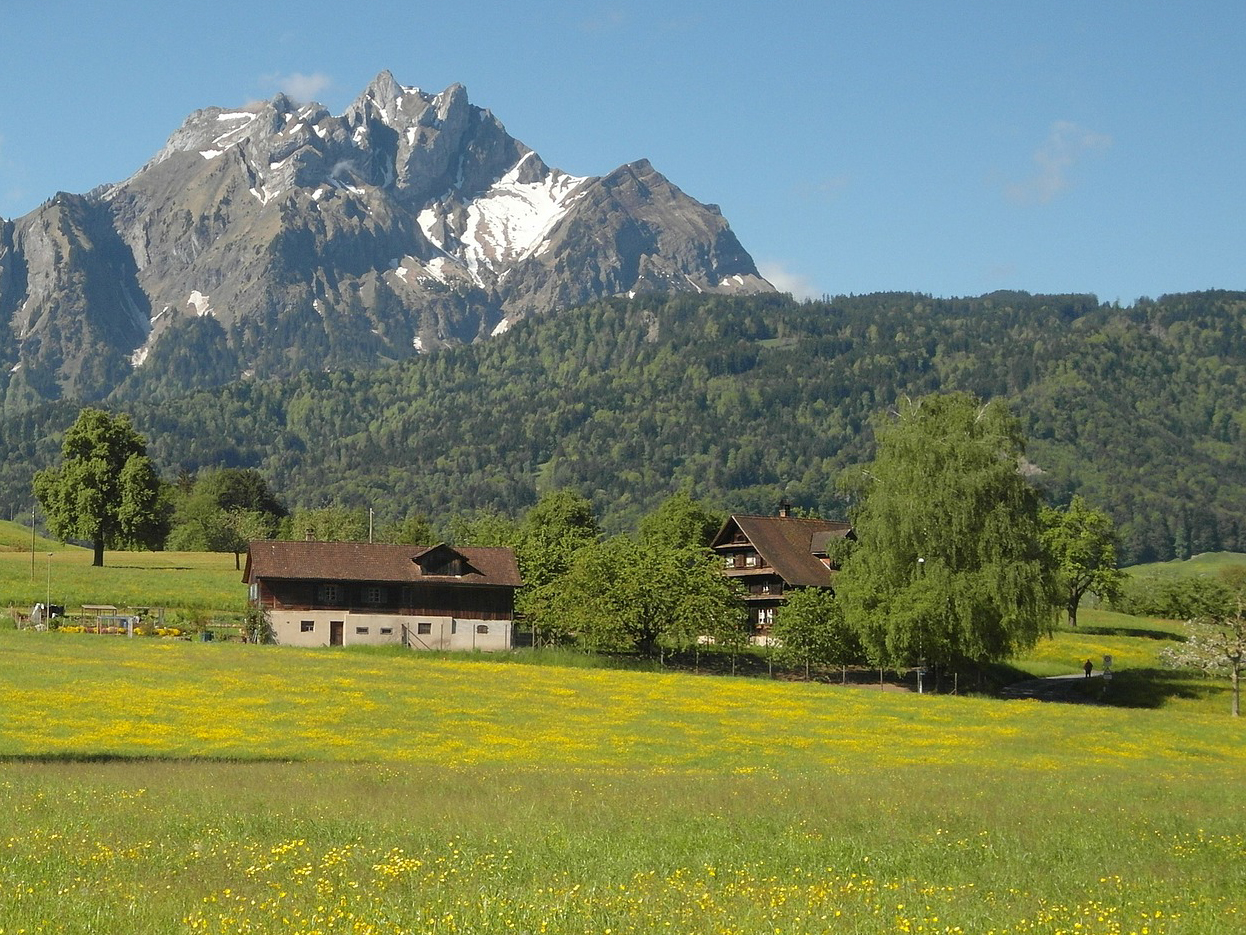 Landwirtschaftsbetrieb auf der Horwer Halbinsel mit Pilatus im Hintergrund. Landwirtschaftsbetrieb auf der Horwer Halbinsel mit Pilatus im Hintergrund.