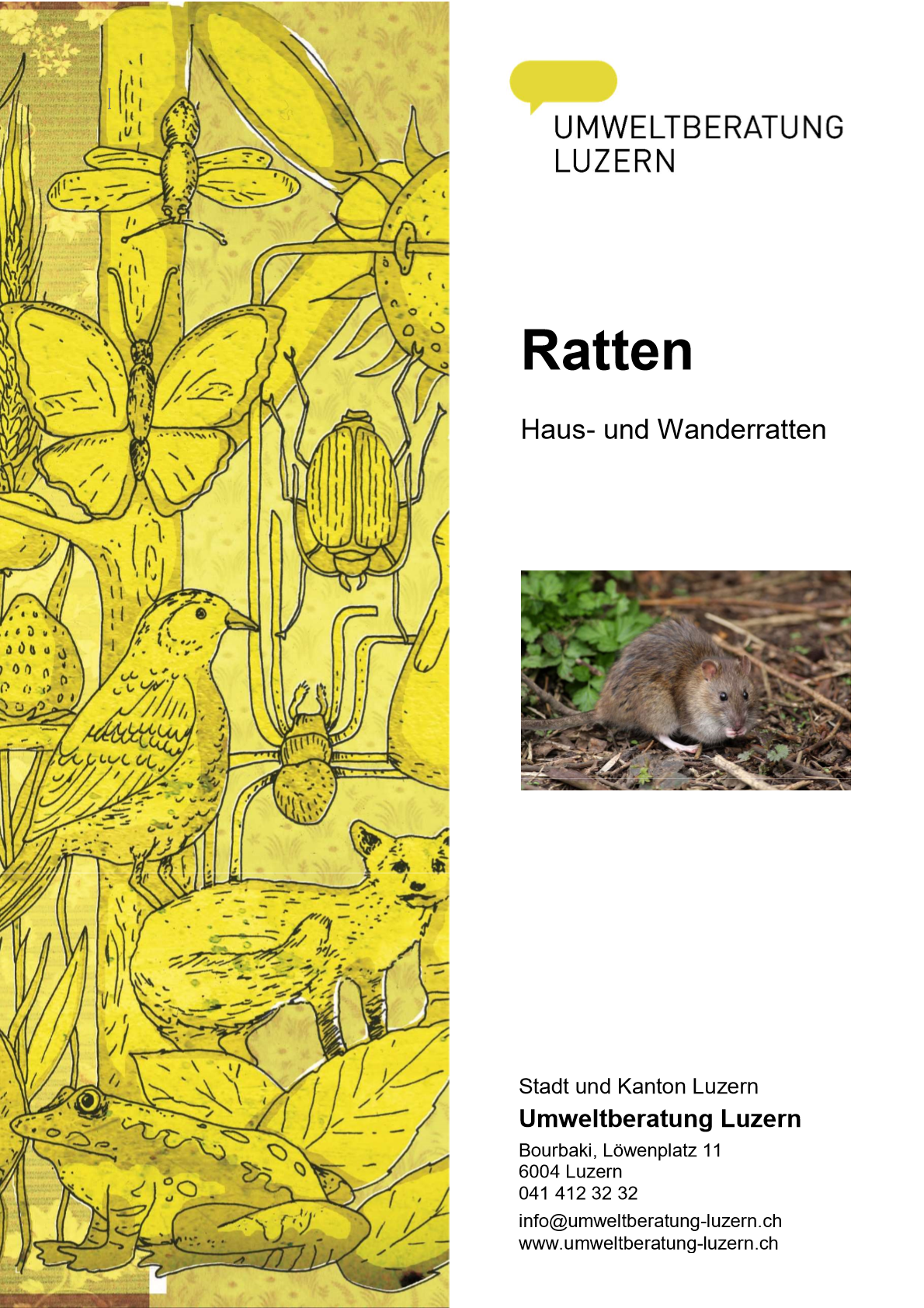Broschüre Ratten Titelblatt