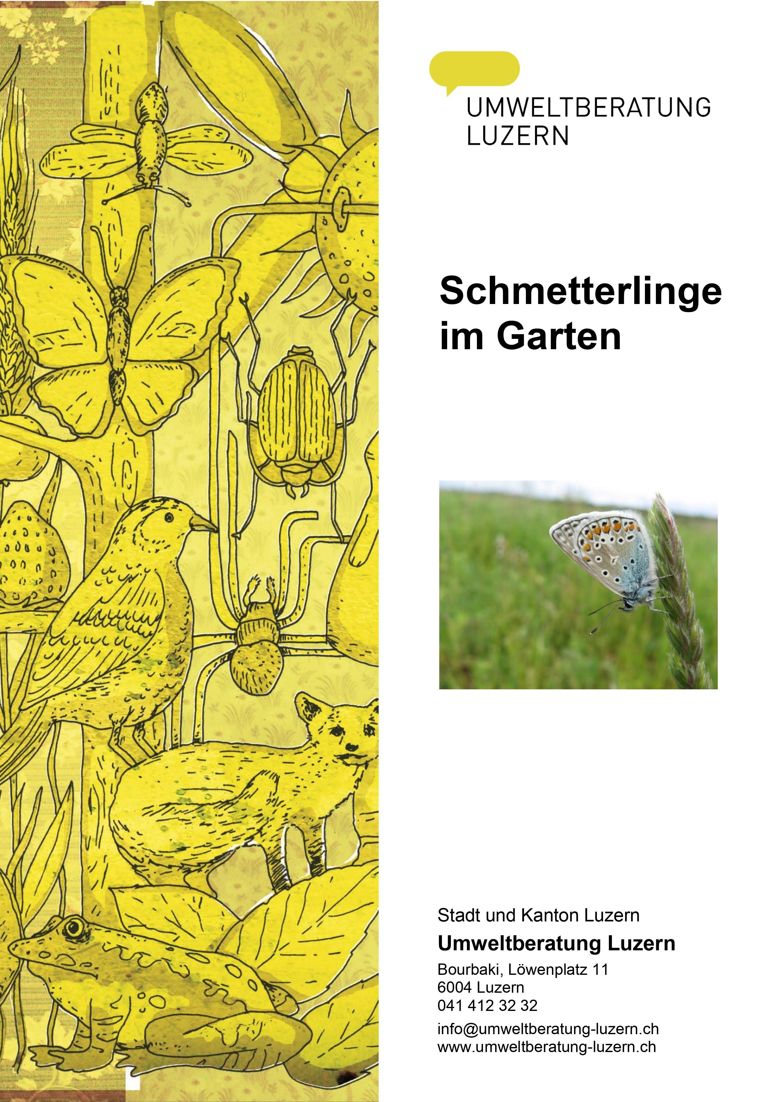 Titelbild Stichwortbroschüre Schmetterlinge