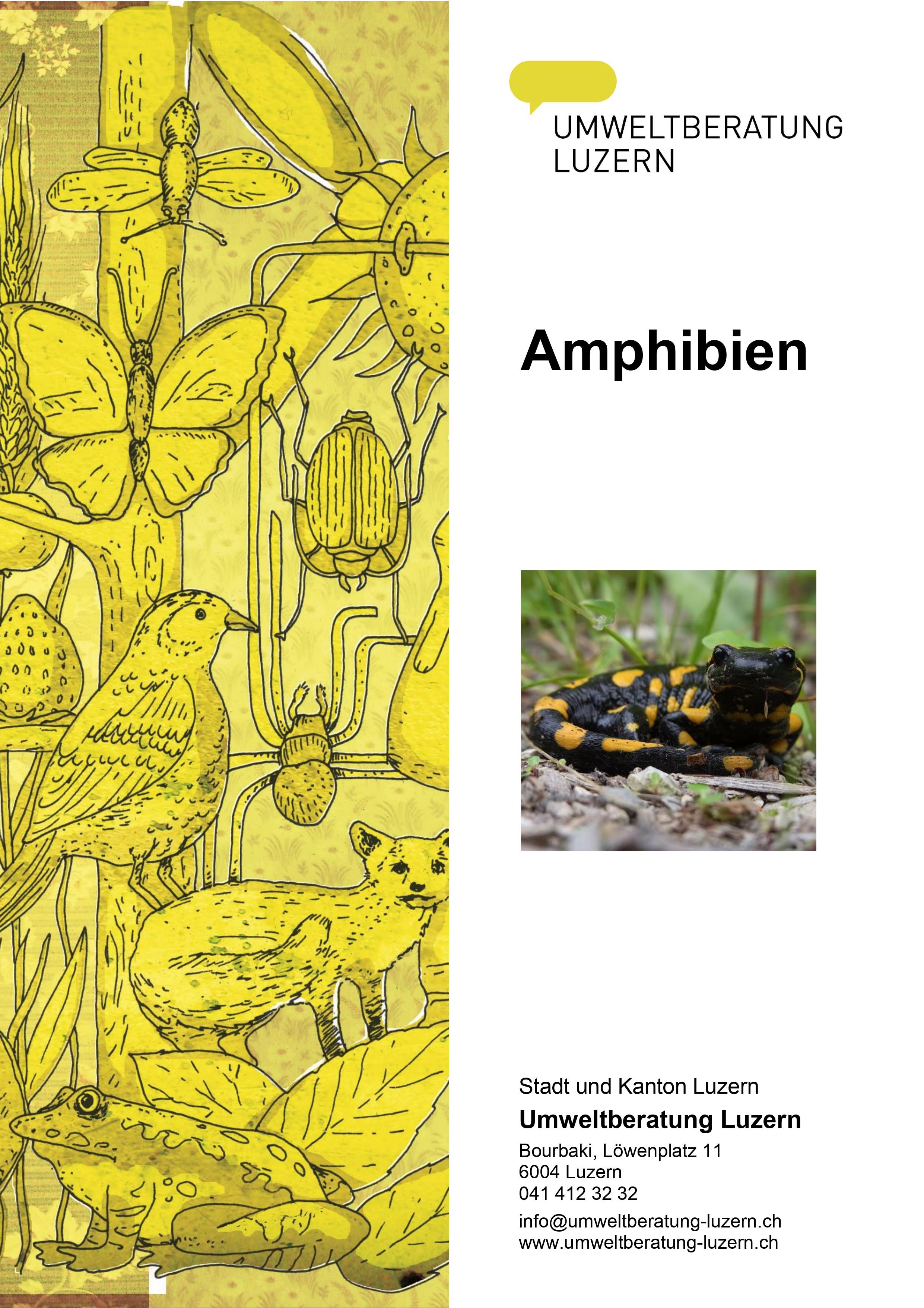 Titelblatt Amphibien