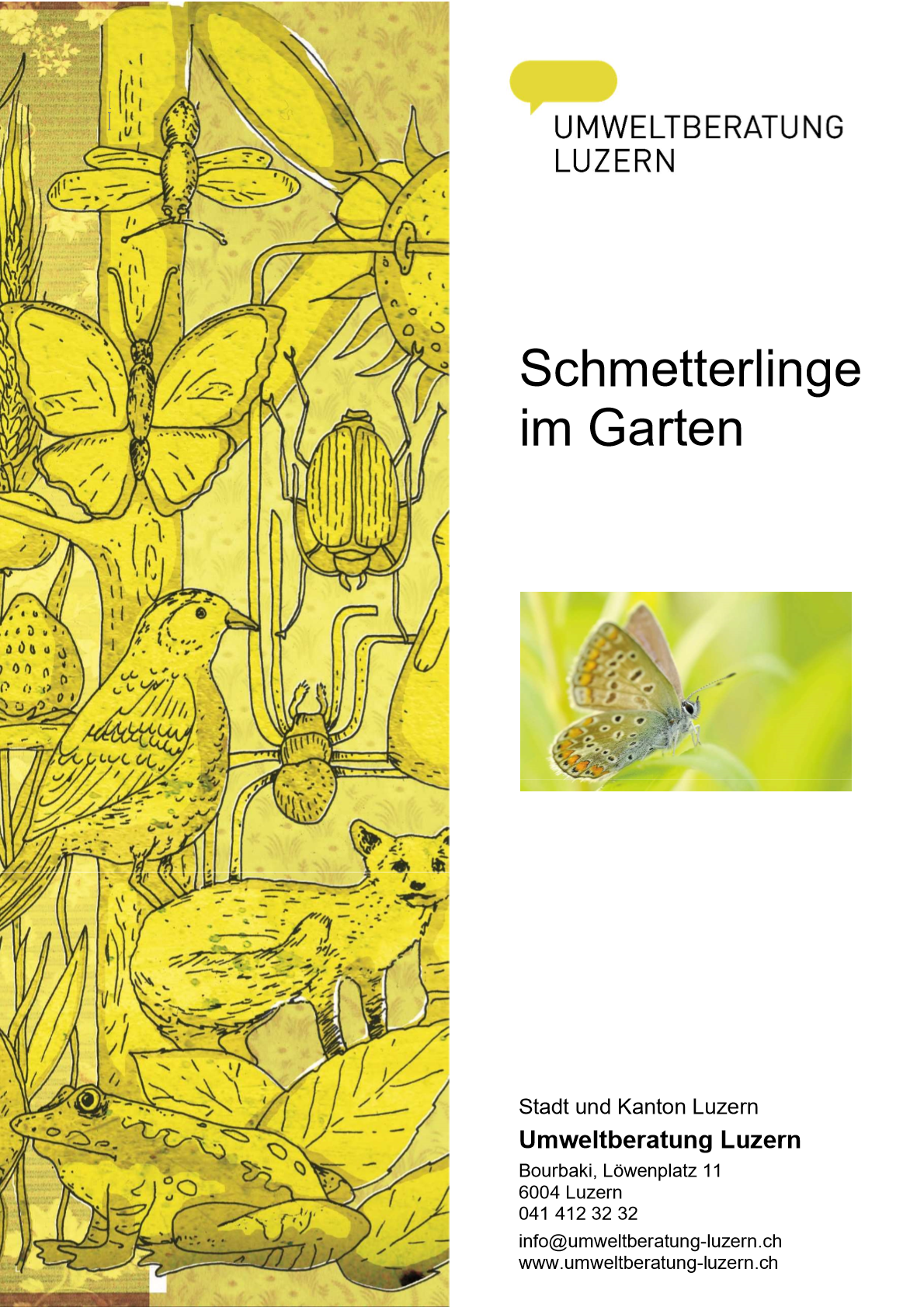 Titelbild Stichwortbroschüre Schmetterlinge