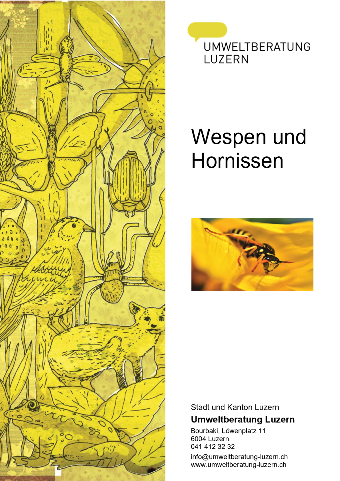 Stichwortbroschüre Wespen und Hornissen