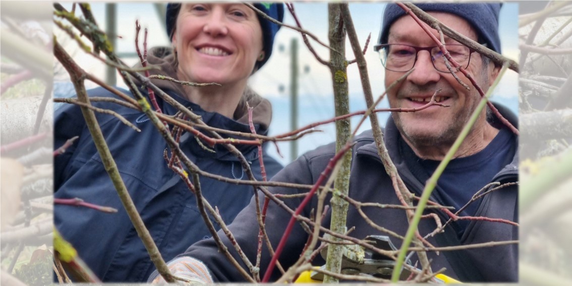 Ob Hecke schneiden, Ast- oder Steinhaufen bauen: Dein Einsatz auf dem Hof Murmatt bringt Vielfalt zurück.
