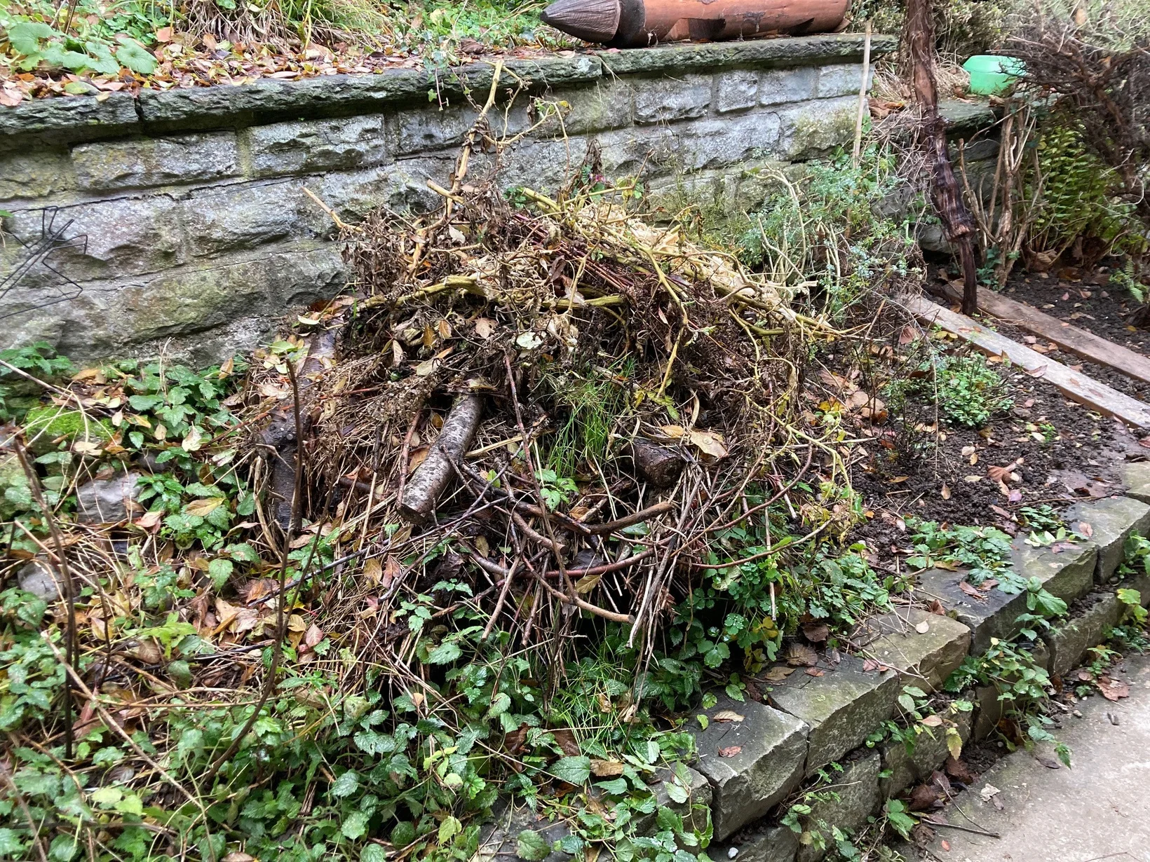 Ein gemischter Ast- und Schnittguthaufen in einem Garten