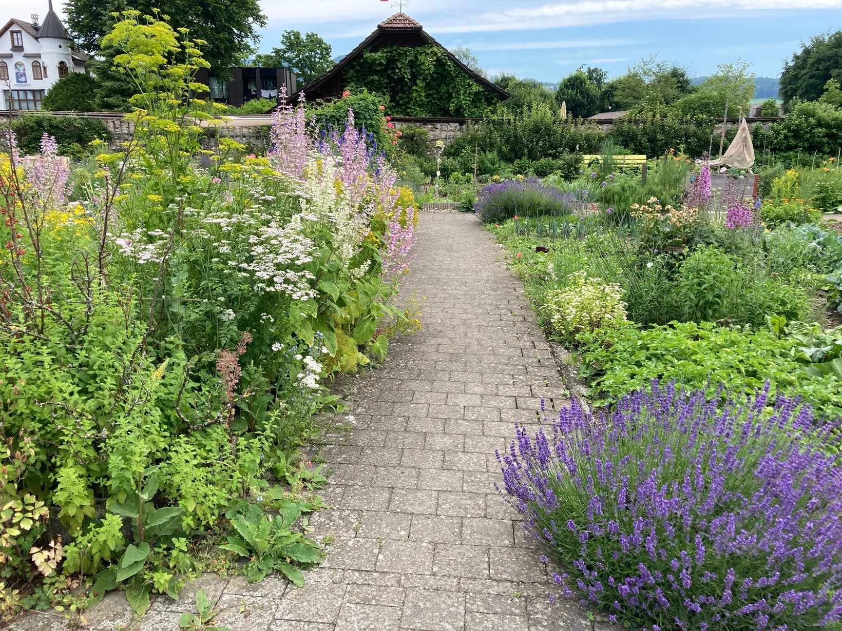 Vielfältiger, bunter Gemeinschaftsgarten 