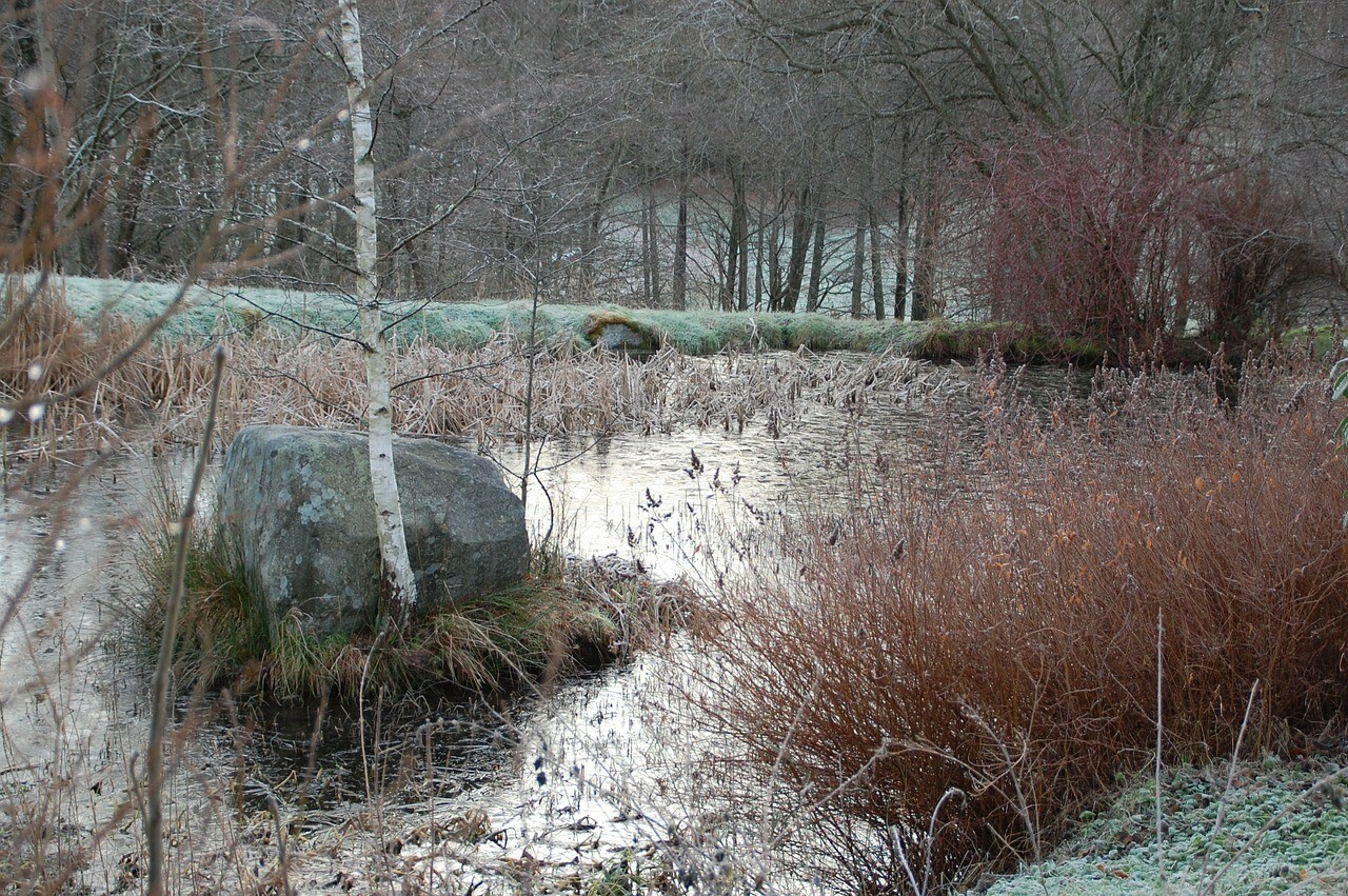 Amphibienweiher im Winter