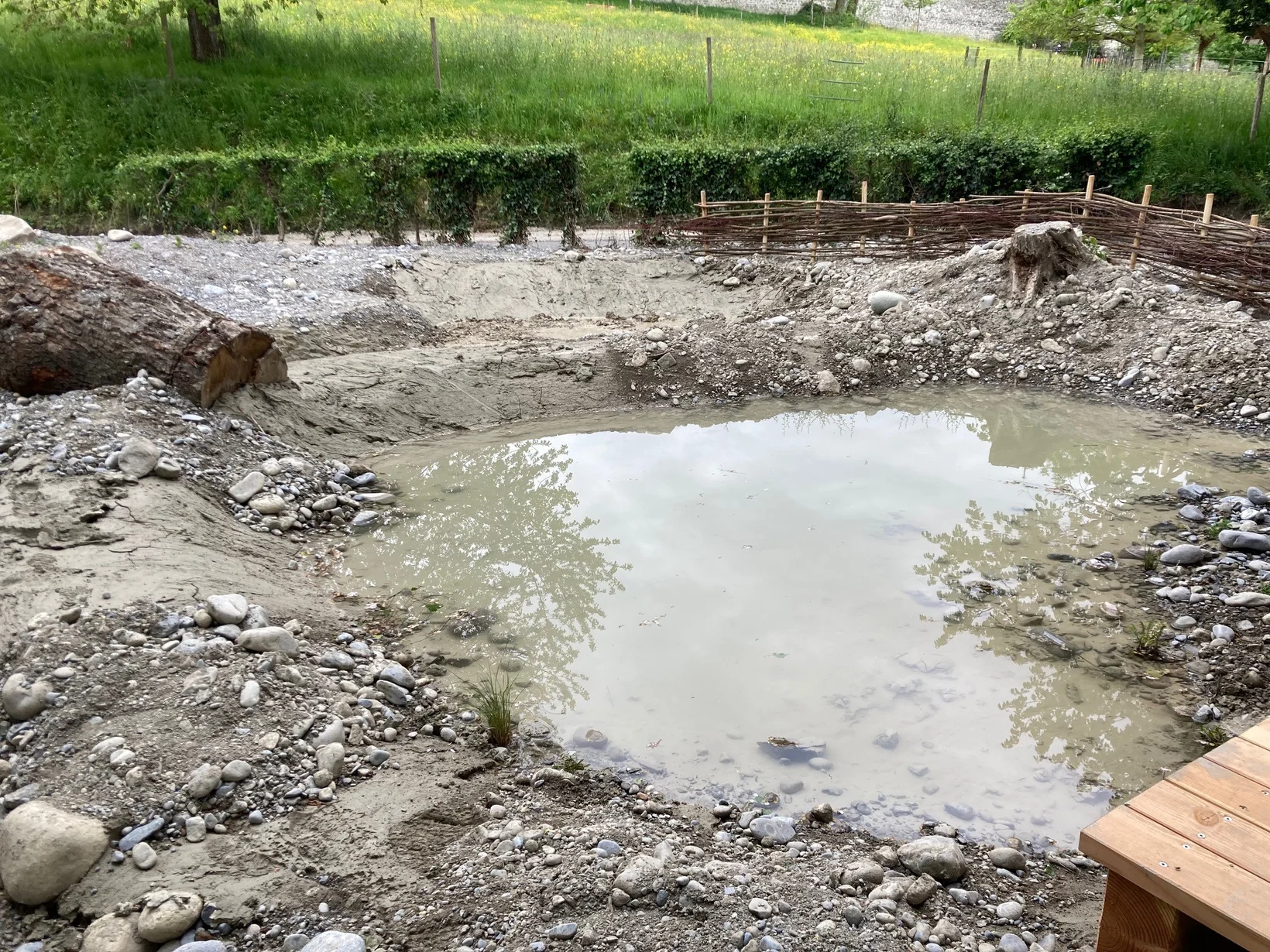 Ein neu erstellter Tümpel in Luzern