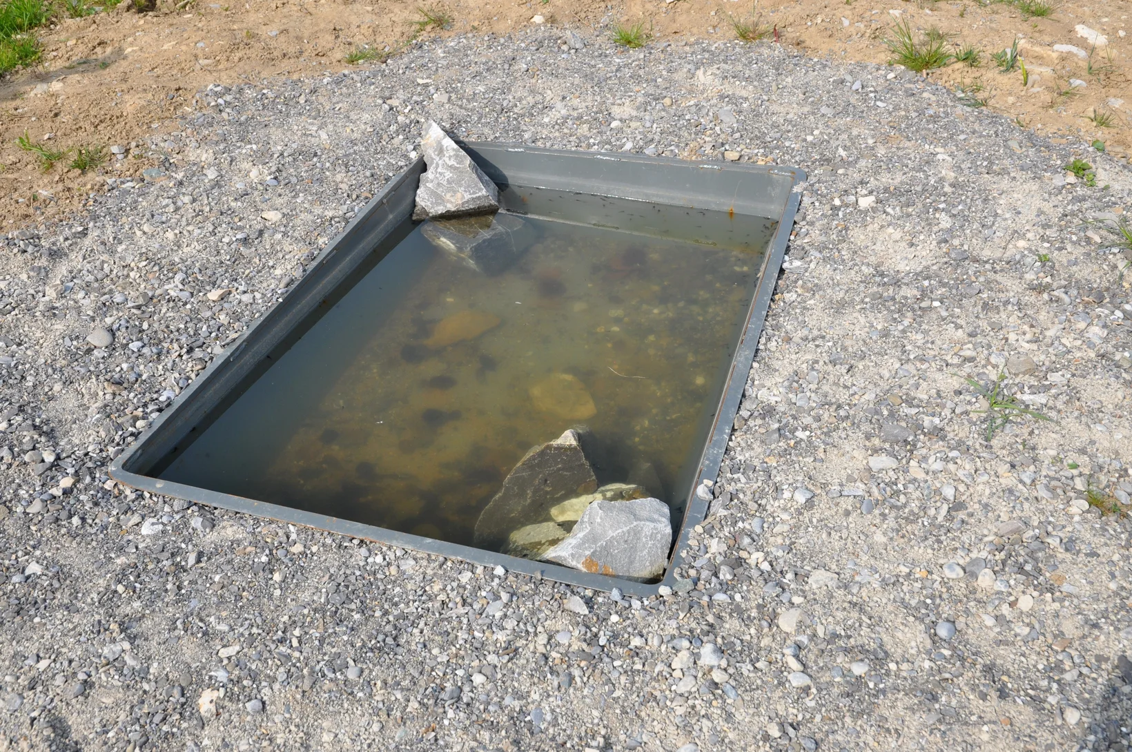 Eingegrabene rechteckige Wanne als Amphibienlaichgewässer