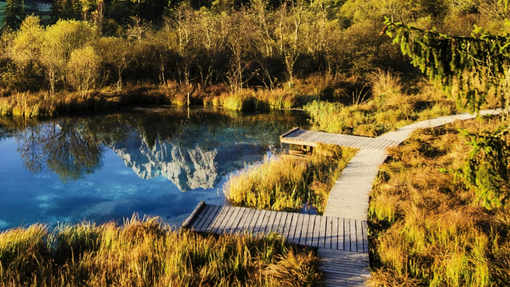 Schwimmteich in den Bergen