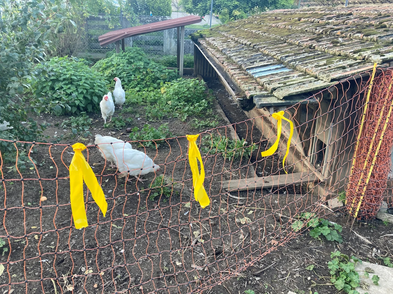 Weidenetz mit Flatterbändern