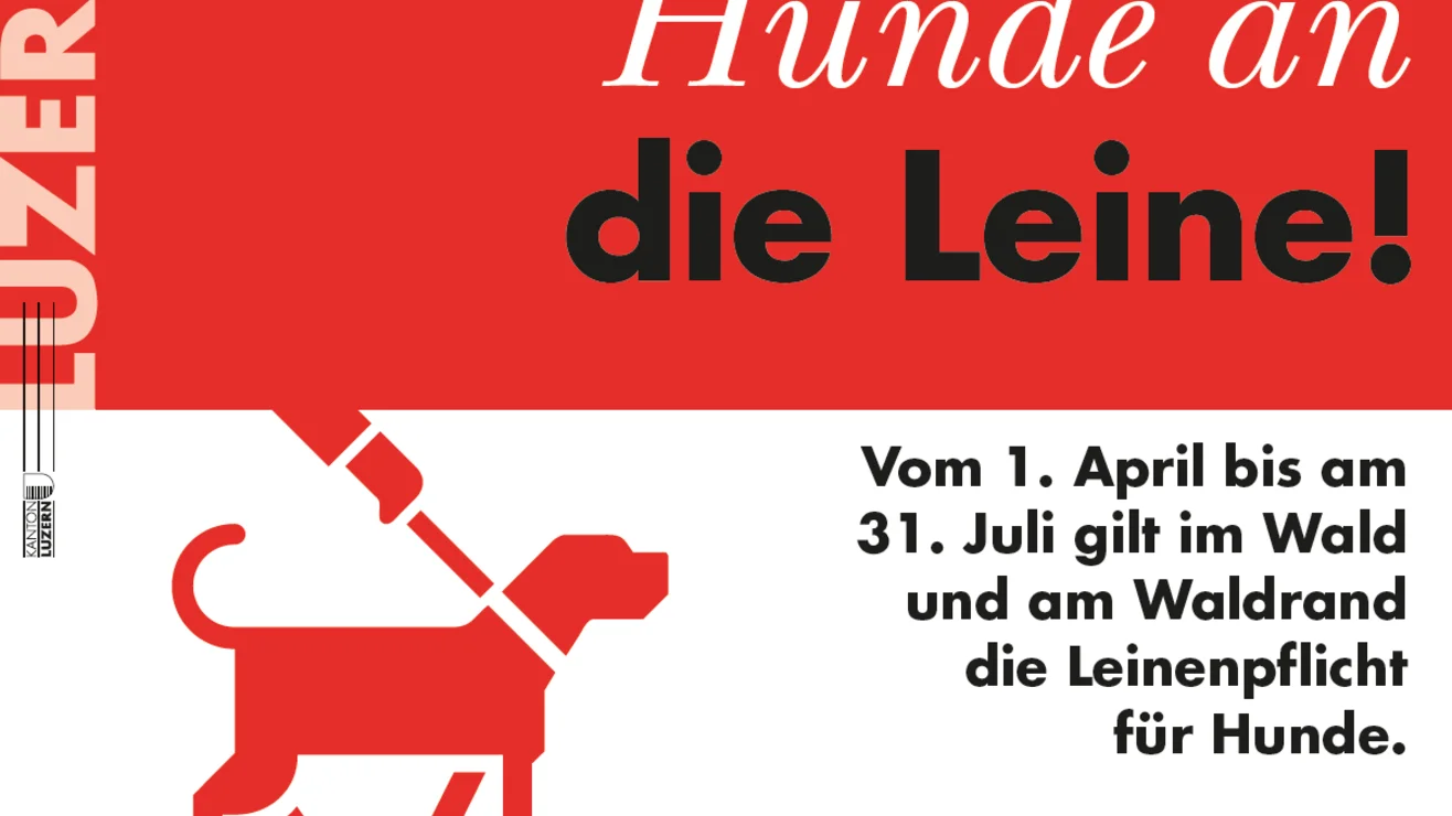 Leinenpflicht für Hunde | Umweltberatung Luzern