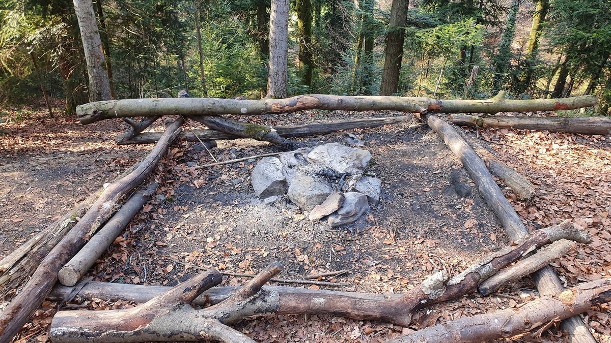 Eine der vielen wilden Feuerstellen im Wald mit Baumstämmen um Sitzen.