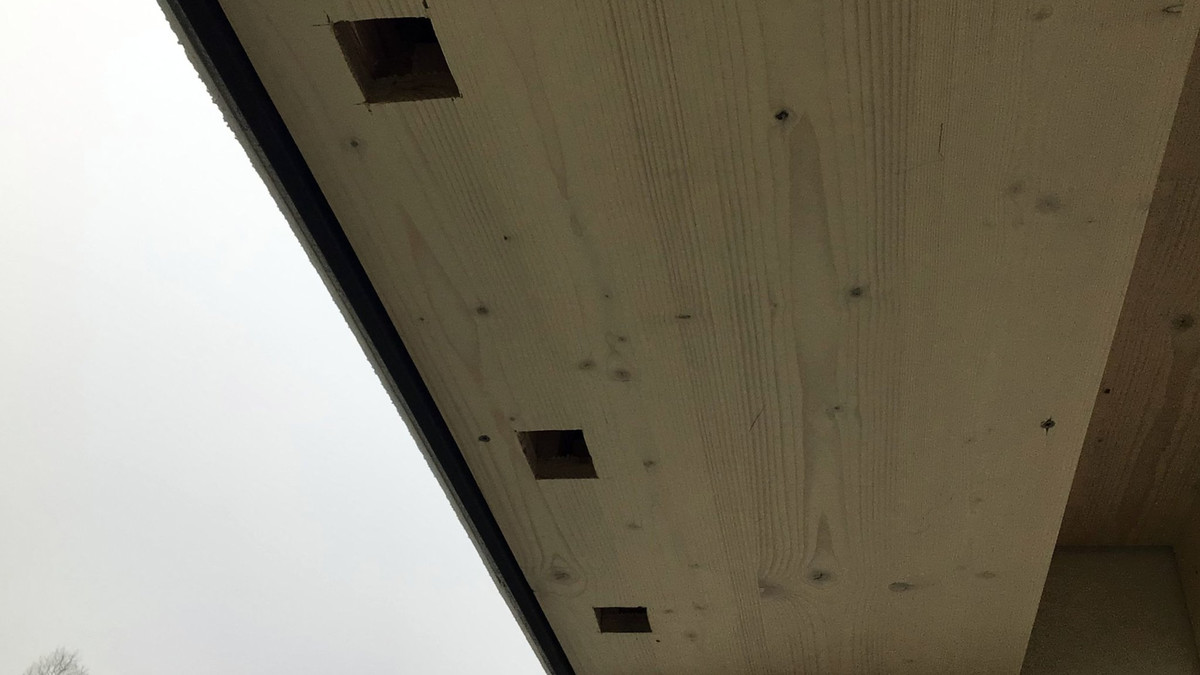Eine Dachuntersicht mit Einschnitten für MauerseglerInnen