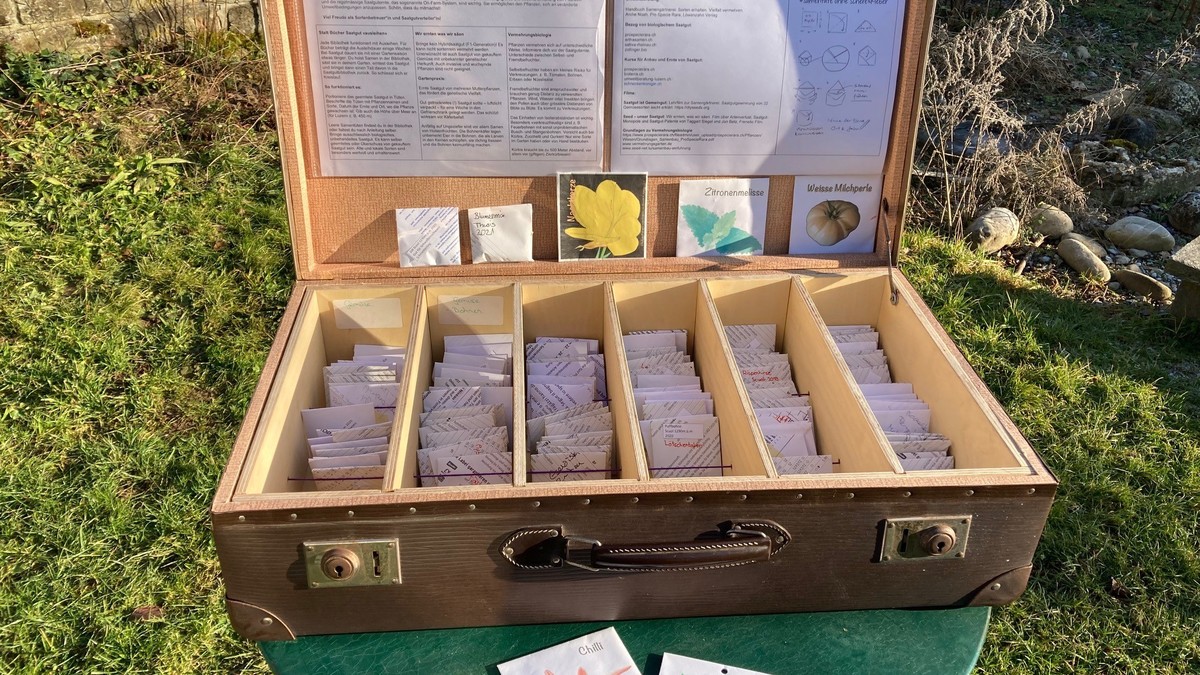 Der Saatgutkoffer - ein alter Reisekoffer mit Holzfächli