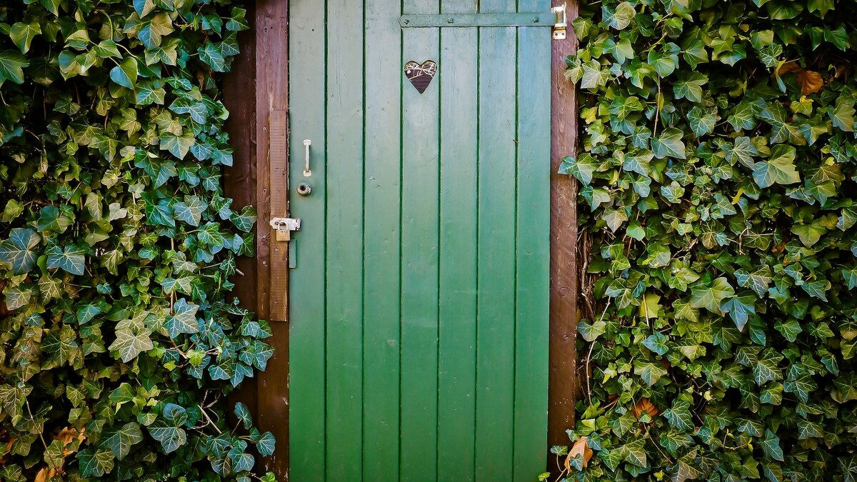 Mit Efeu bewachsene Mauer und eine grüne Tür 
