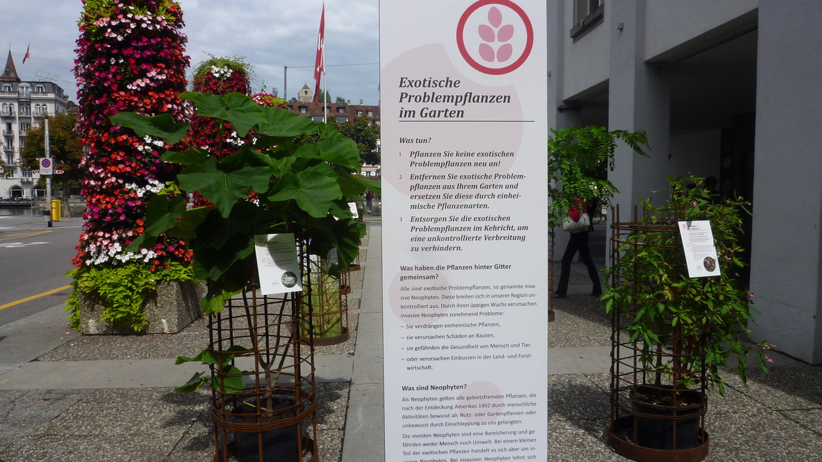 Das Bild zeigt eine Tafel und Pflanzenkörbe der Ausstellung "Exotische Problempflanzen".