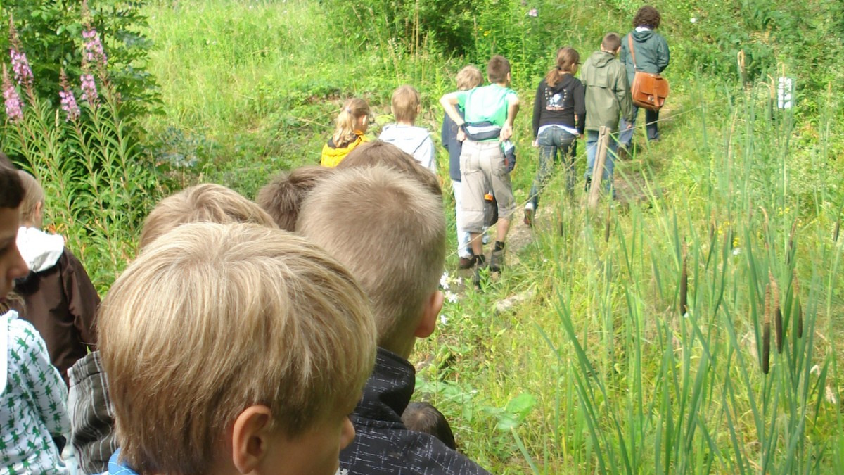 eine Gruppe Kinder erforscht das Naturlehrgebiet