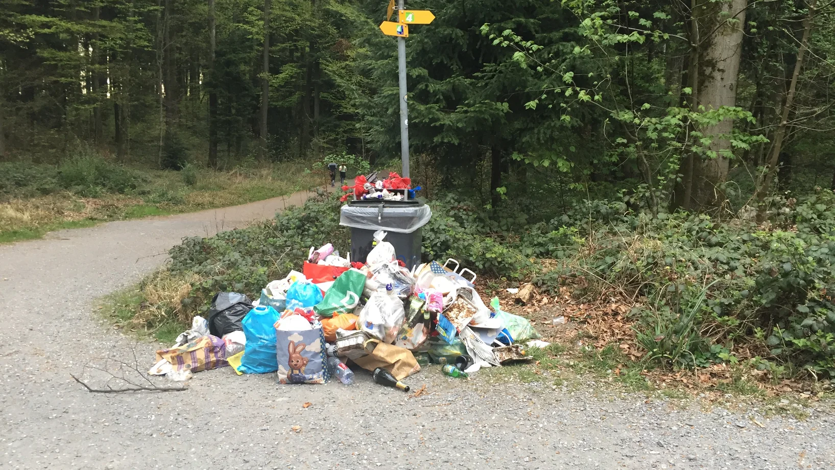 Müllberg am Wegesrand im Wald