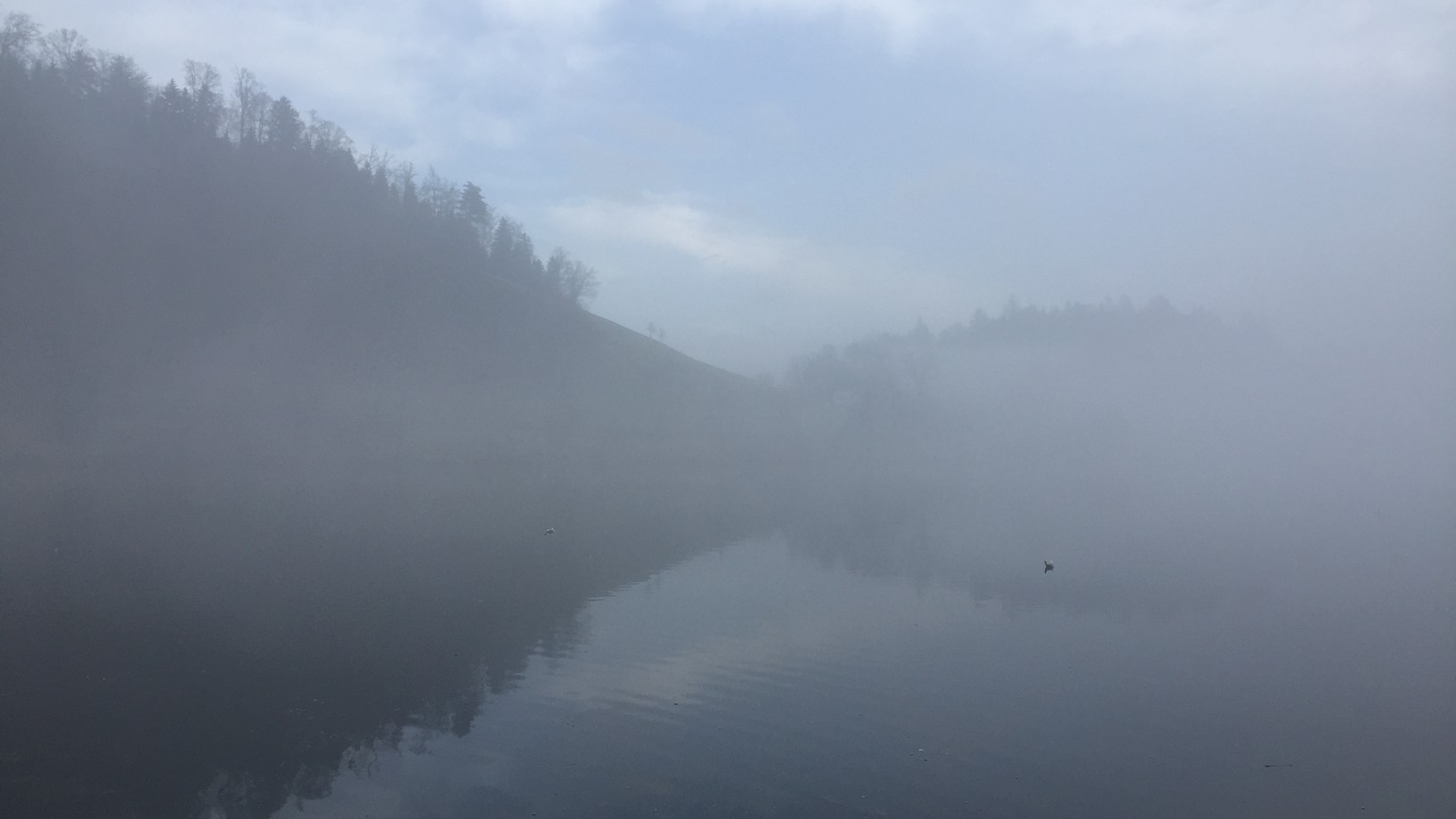 Nebel am Rotsee Luzern