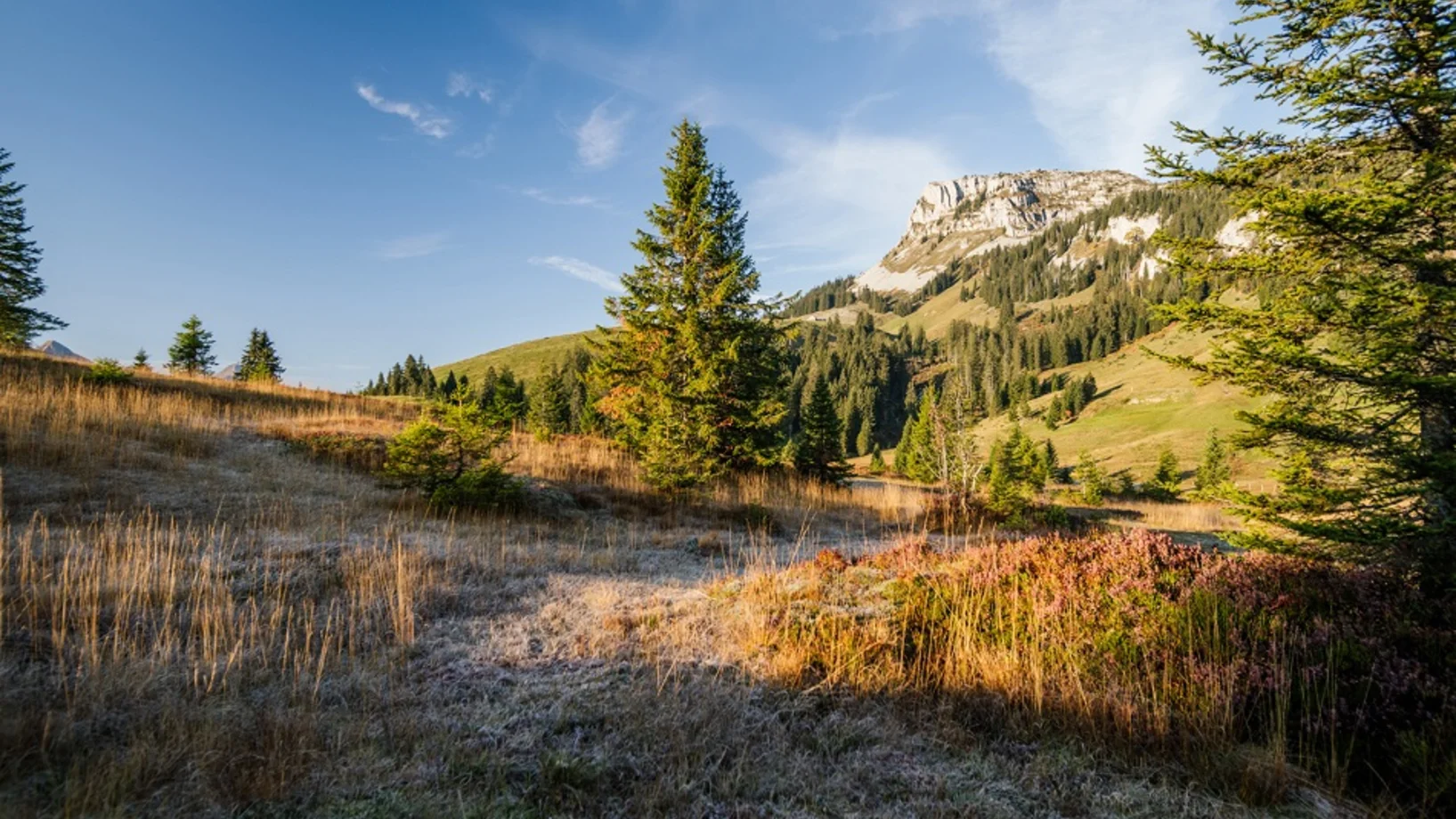 Exkursion Aktiv für die Natur