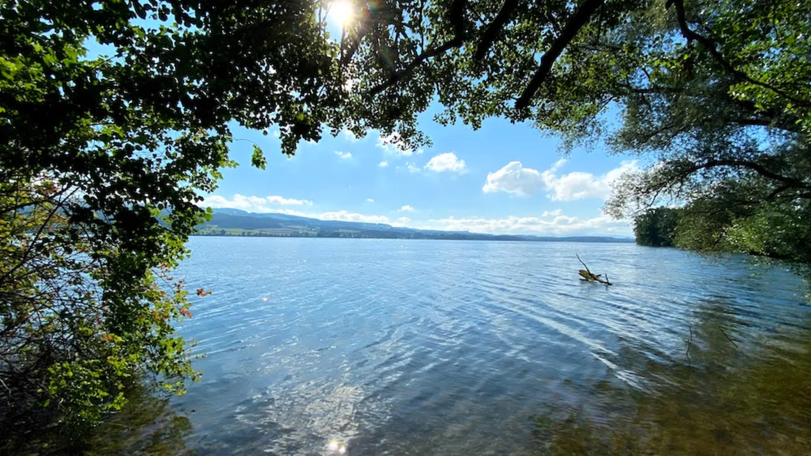 Baldeggersee