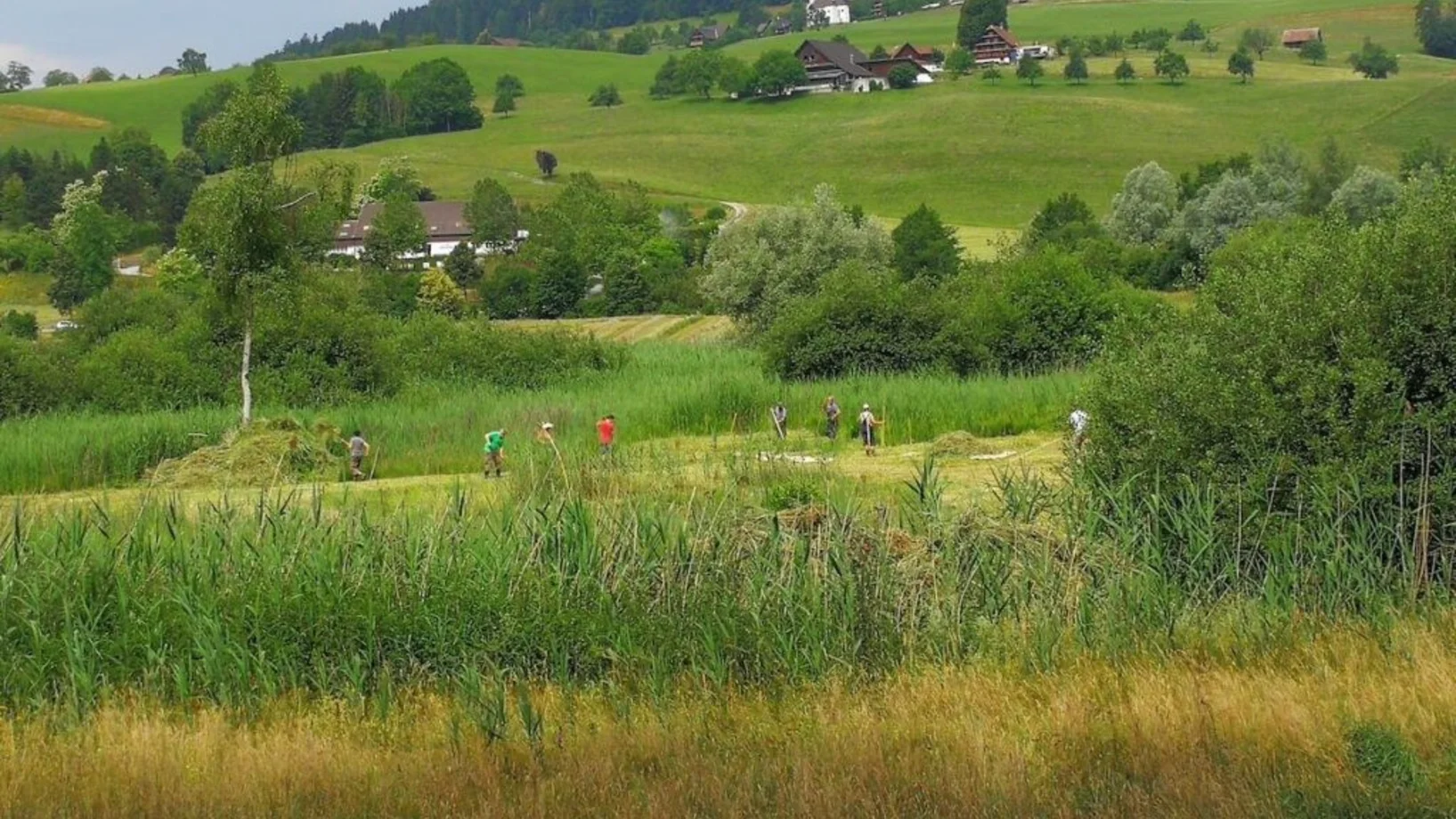 Arbeitseinsatz