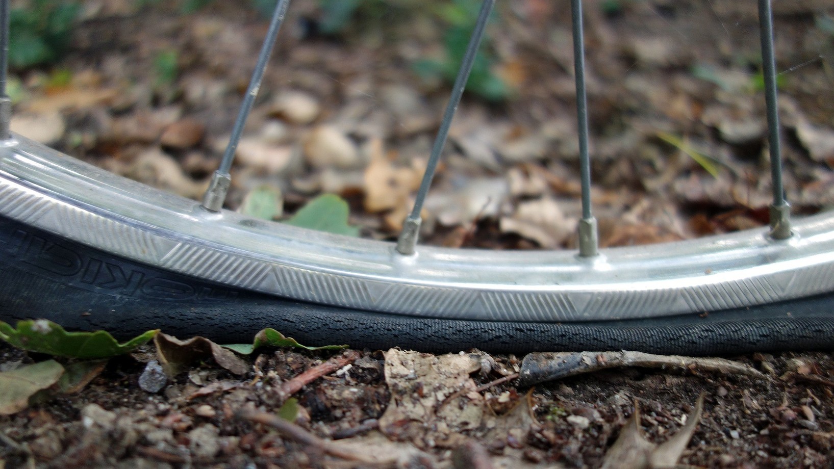 Fahrradreifen mit Platte im Wald