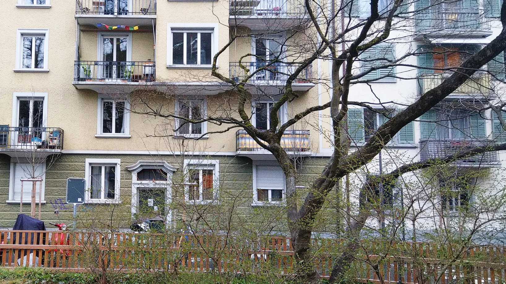 Bäume in der Stadt