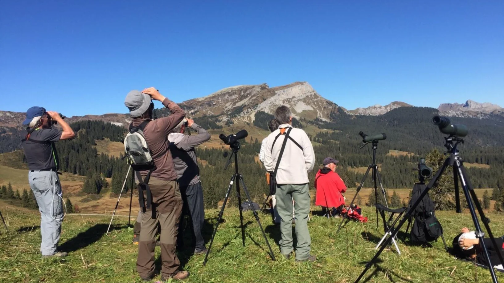 Ornithologische Weiterbildung, Bild: Martin Käch