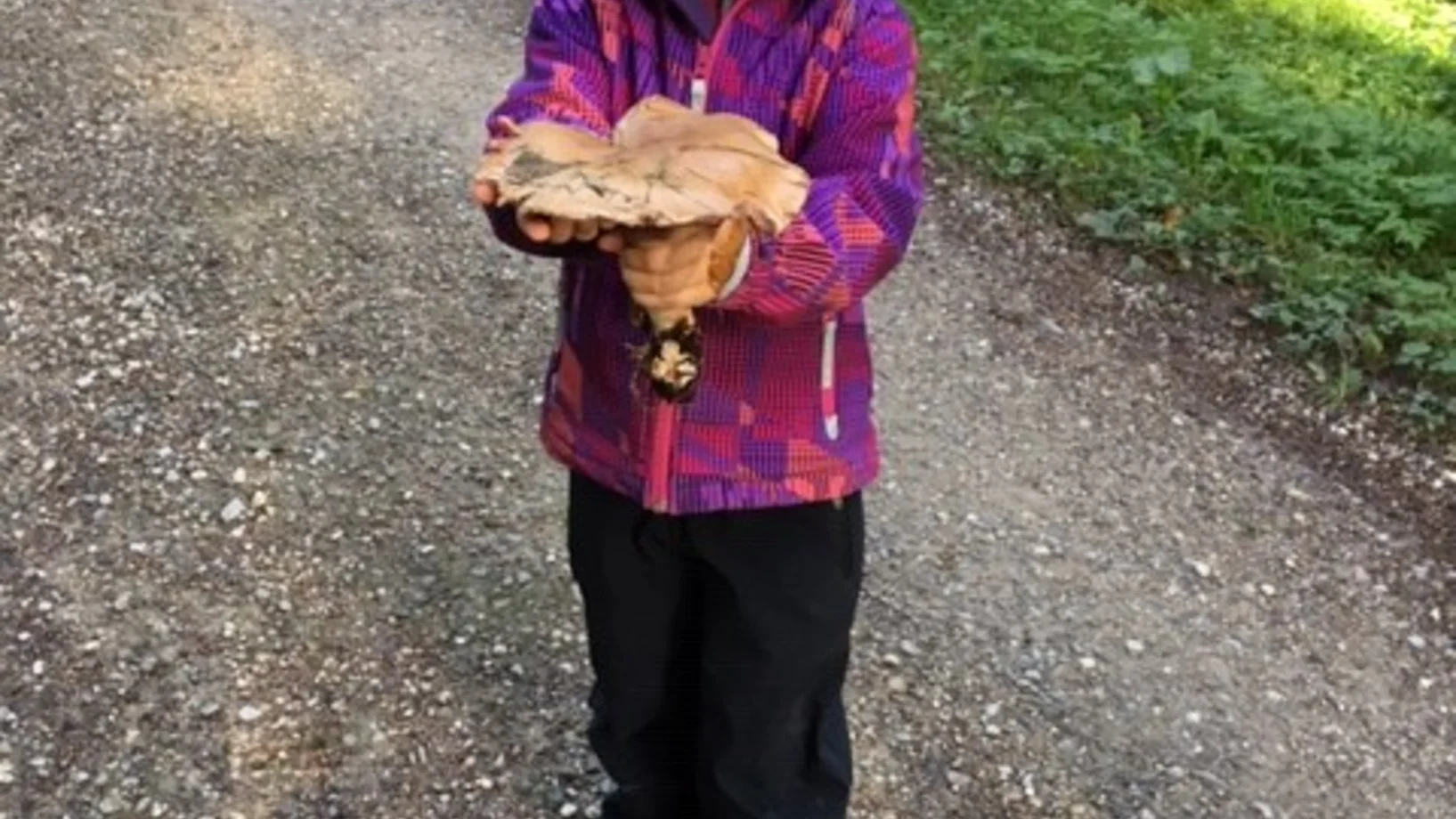 Mädchen mit Pilz in der Hand