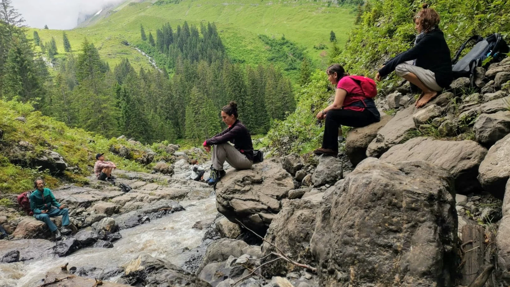 Kraftort und Wildkräuter Wanderung
