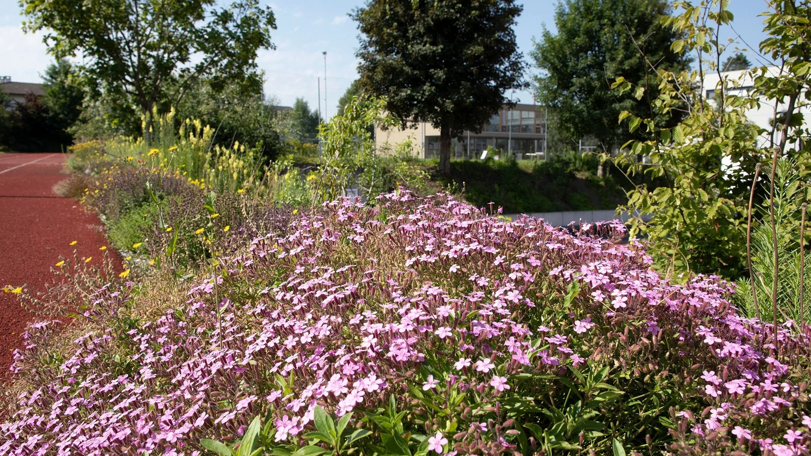 Aussenflächen Beromünster