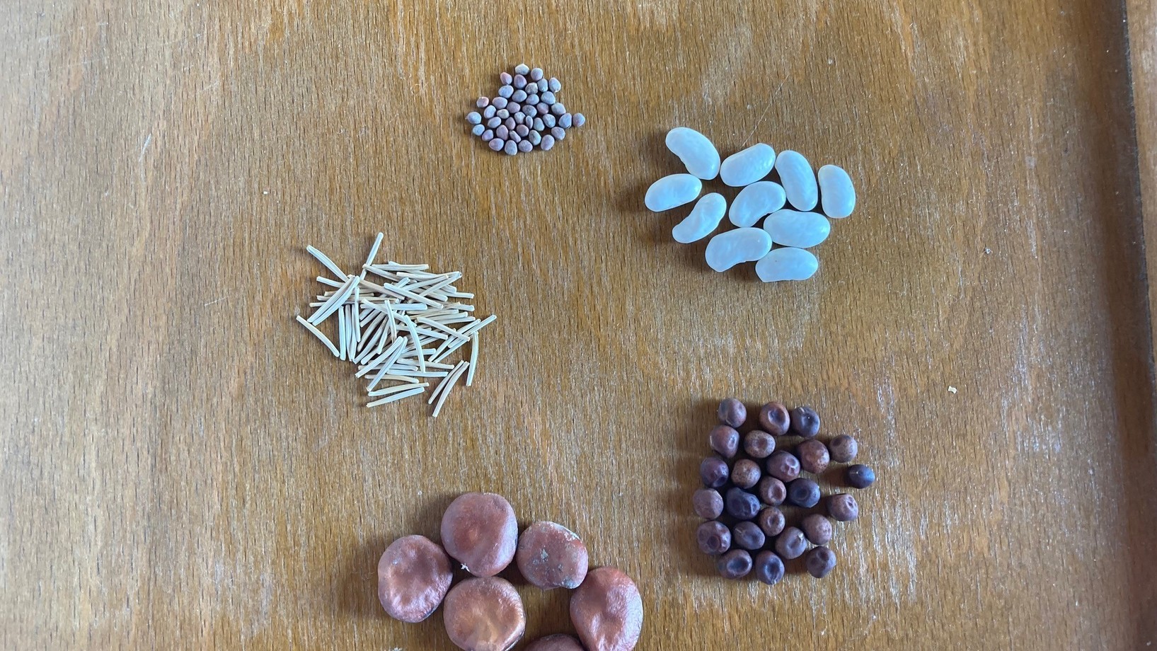 Fünf verschiedene Samensorten