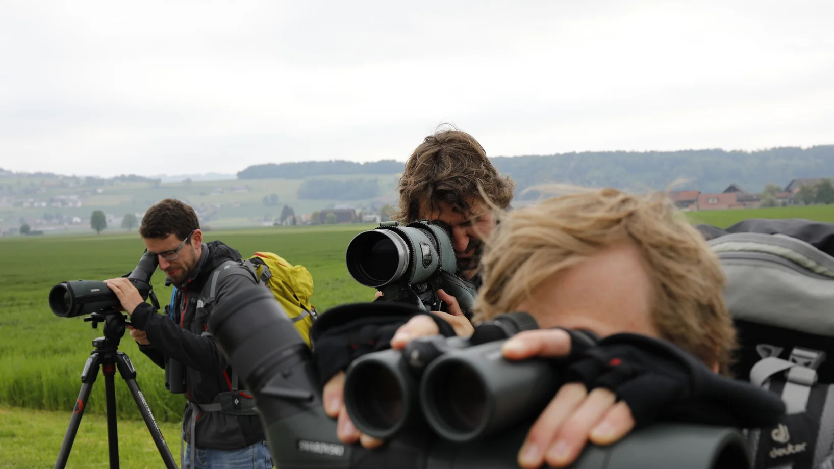 Vogelrally
