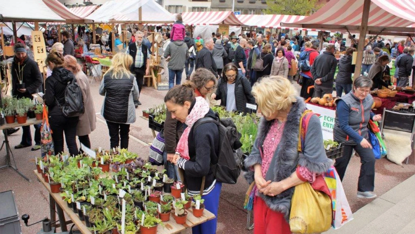 Willkommen am Entlebucher Kräuter- und Wildpflanzenmarkt