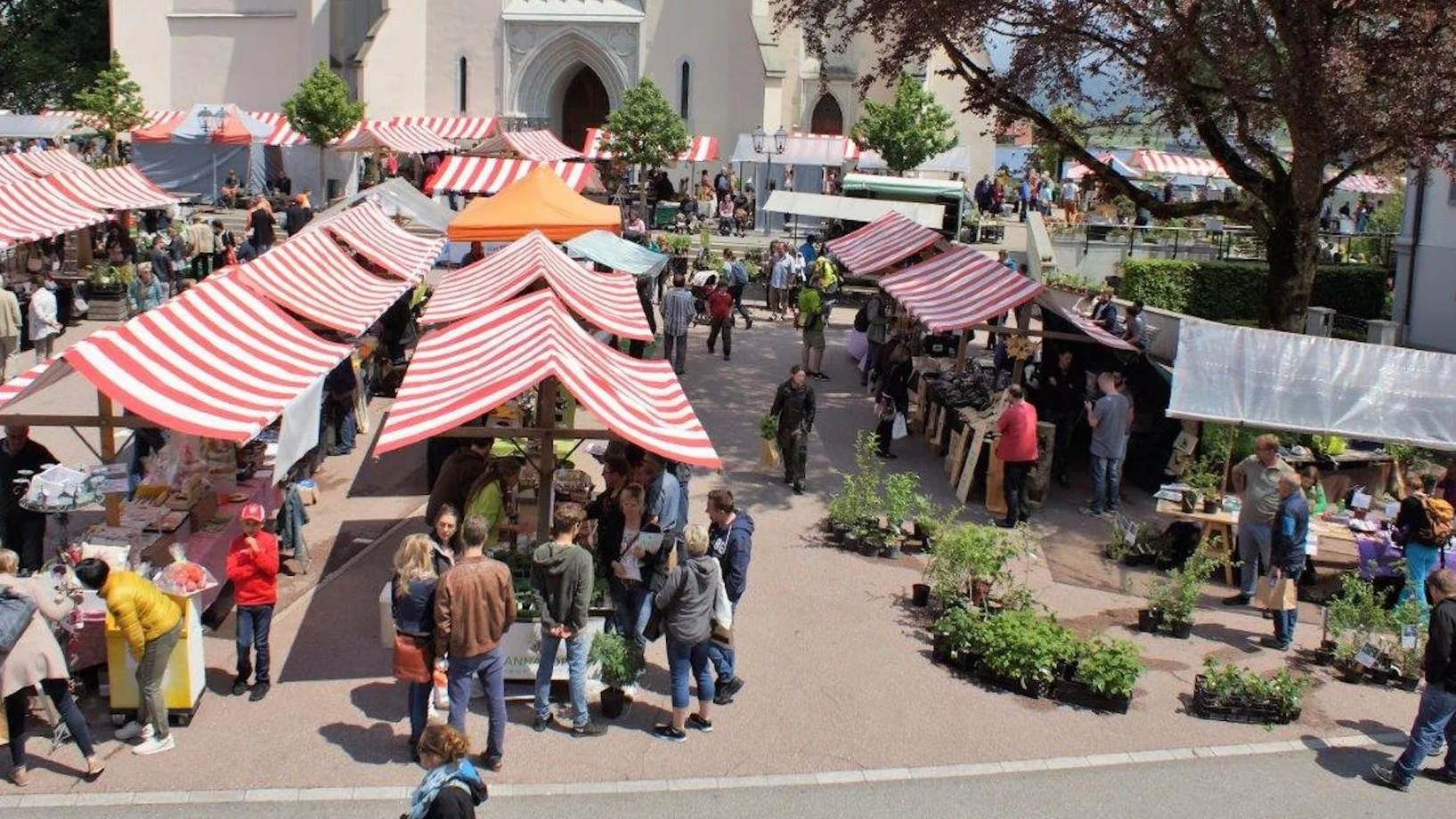Entlebucher Kräuter- & Wildpflanzenmarkt