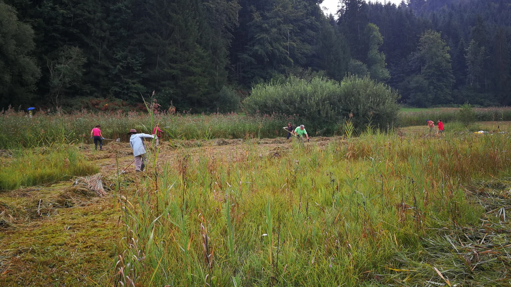 Arbeitseinsatz Moosried