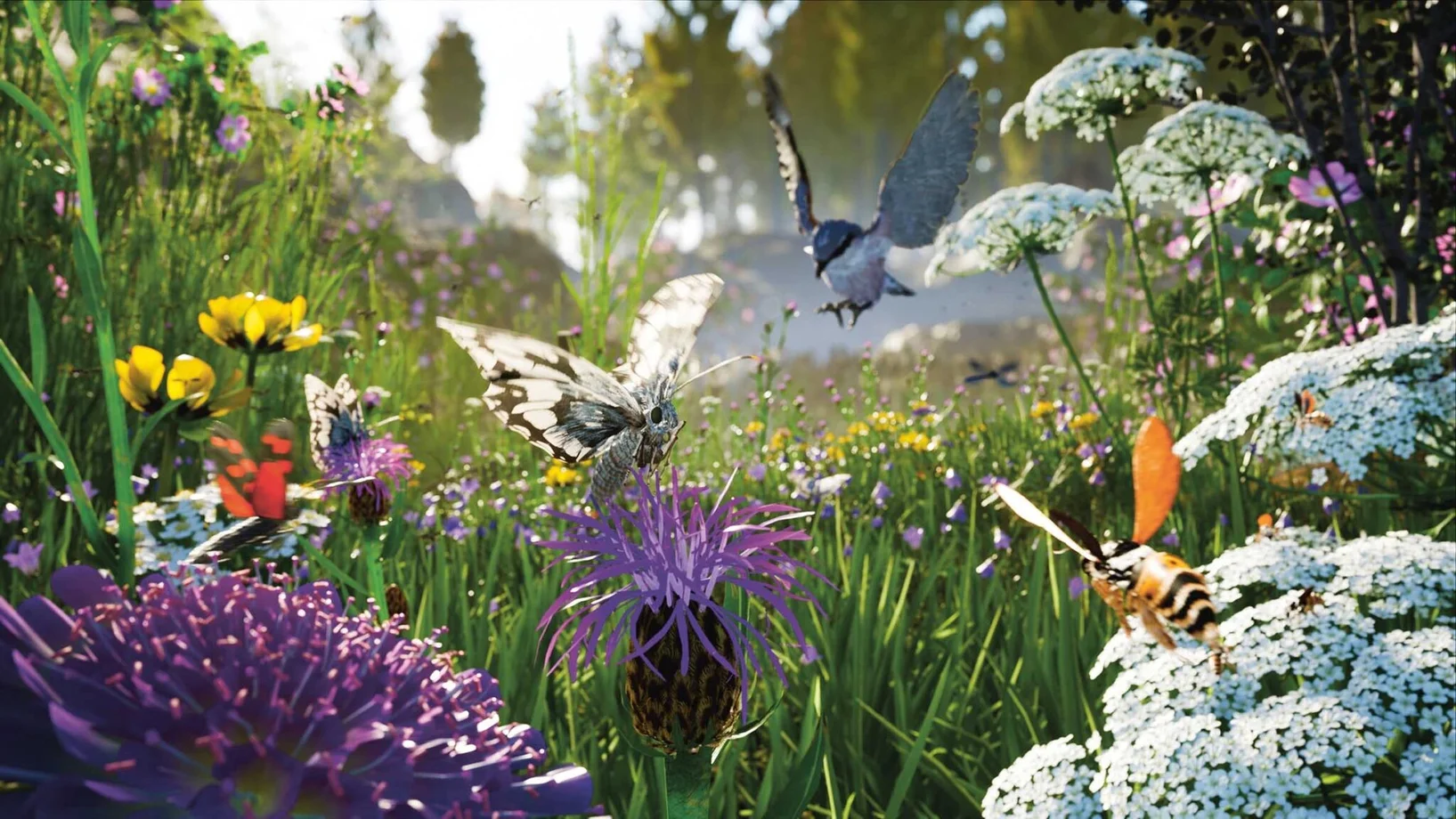 Insekten die durch eine Wiese fliegen