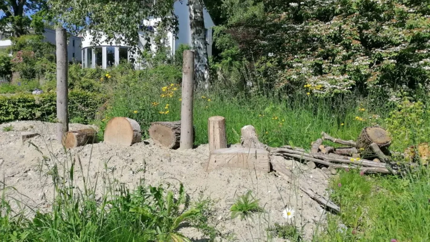 Wildbienenfläche im Steinhofpärkli Luzern. (Bild: Anna Glanzmann)