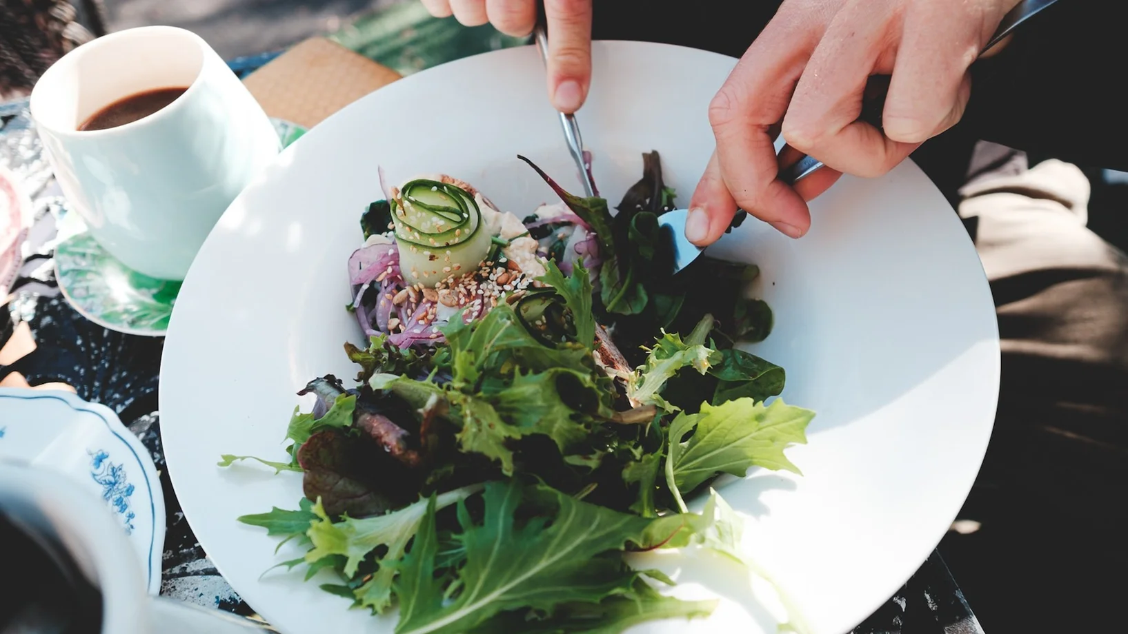 Teller mit veganem Essen