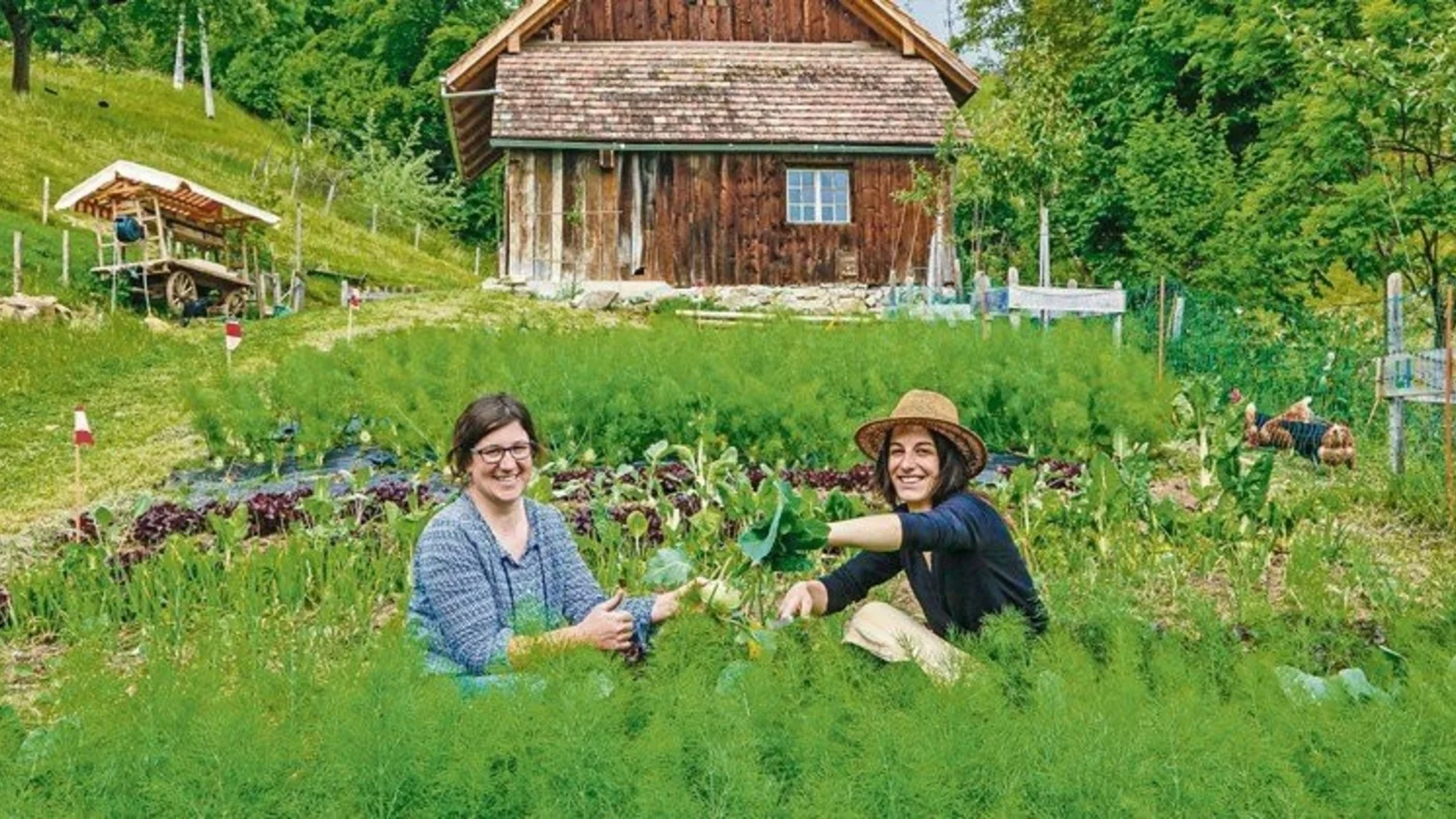 Selbsterntegarten Alpnach