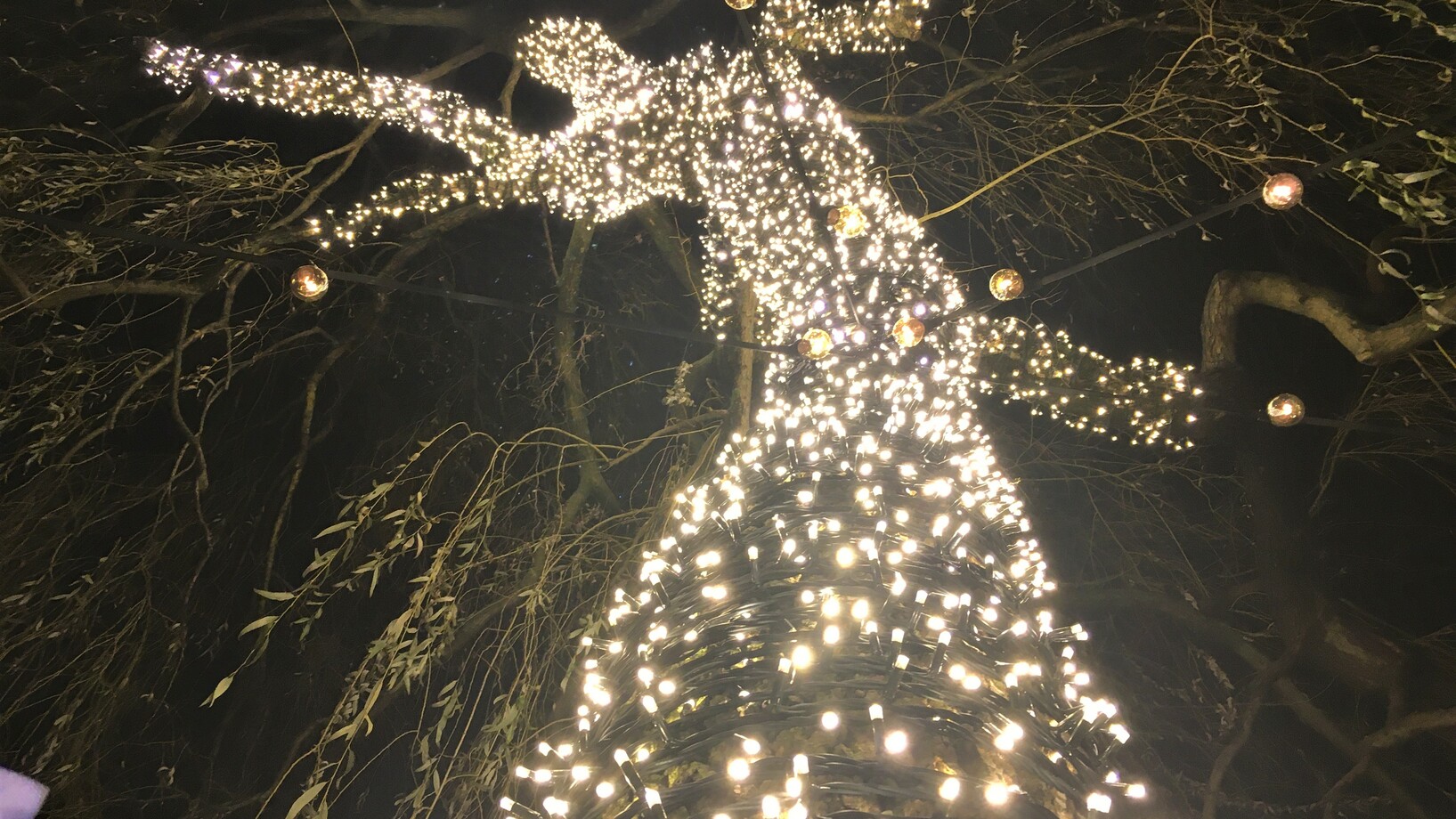Weihnachtsbeleuchteter Baum auf dem Inseli, Luzern