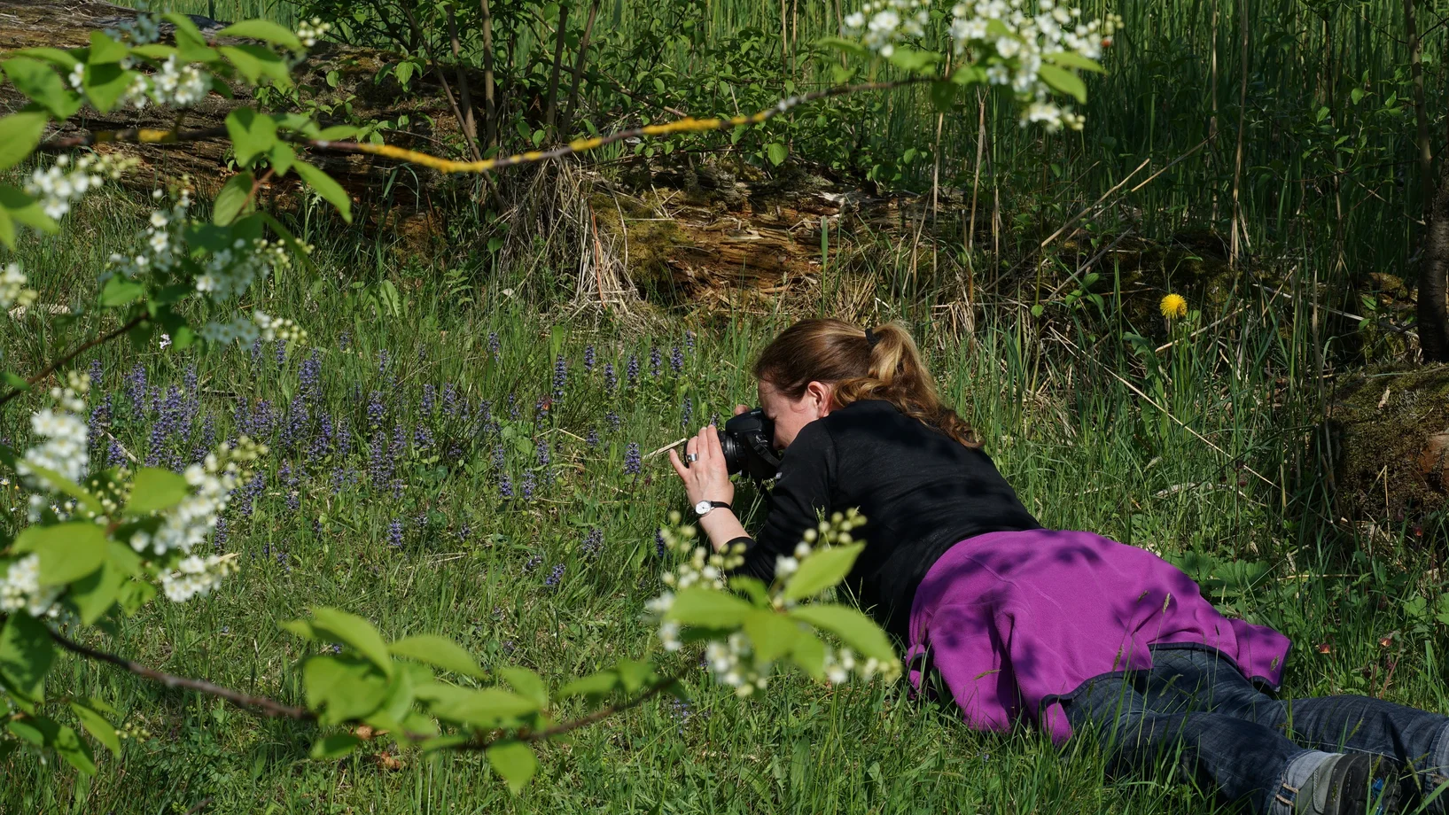 Naturfotografie