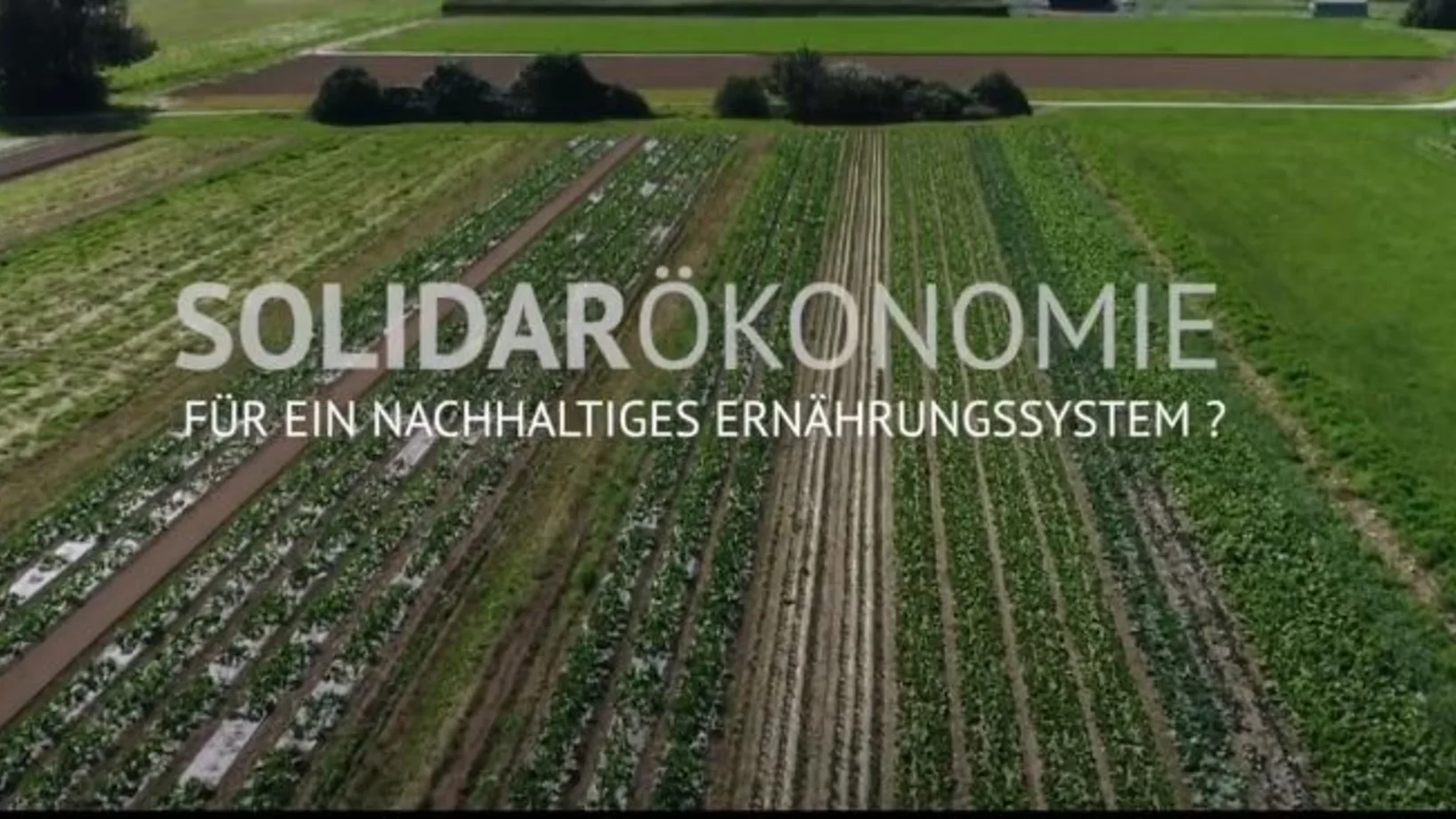 Solidarökonomie als alternative Wirtschaftsform für ein nachhaltiges Ernährungsystem?