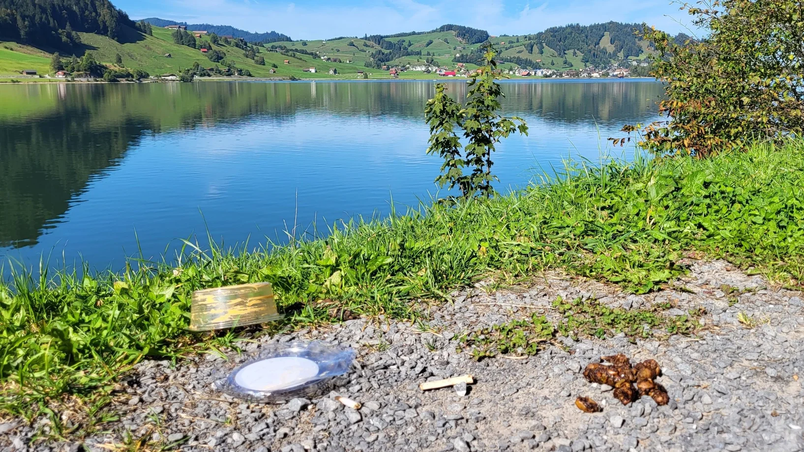 Littering am See