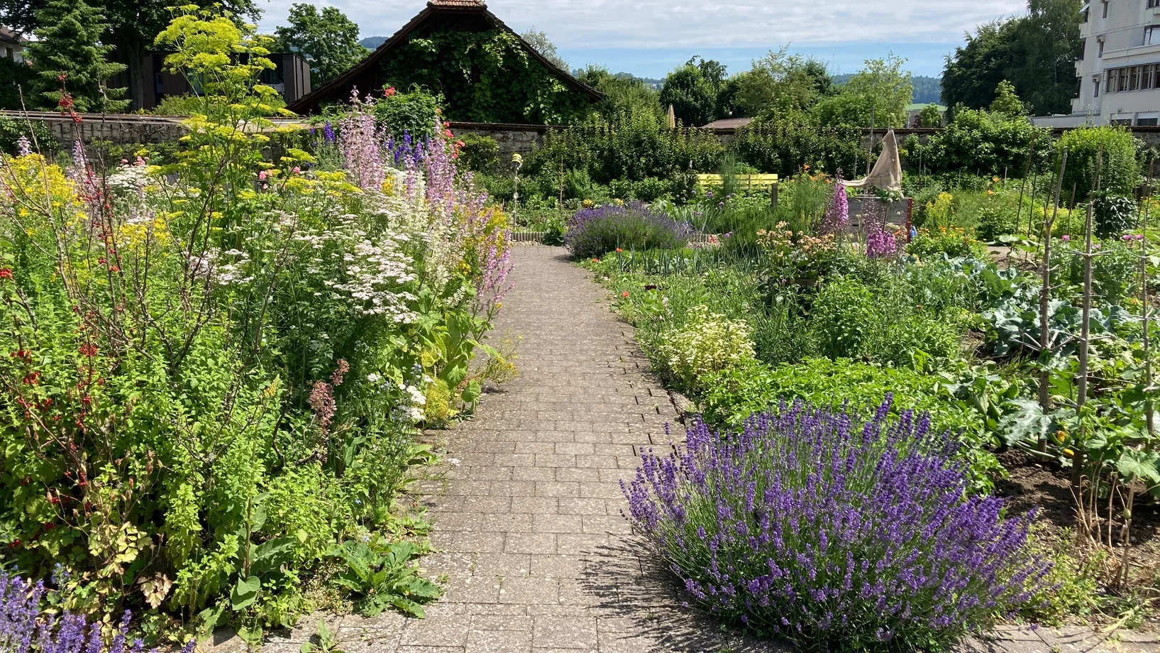 Ein bunter Garten