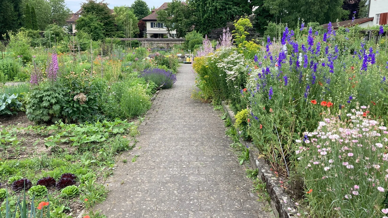 Ein bunter Garten