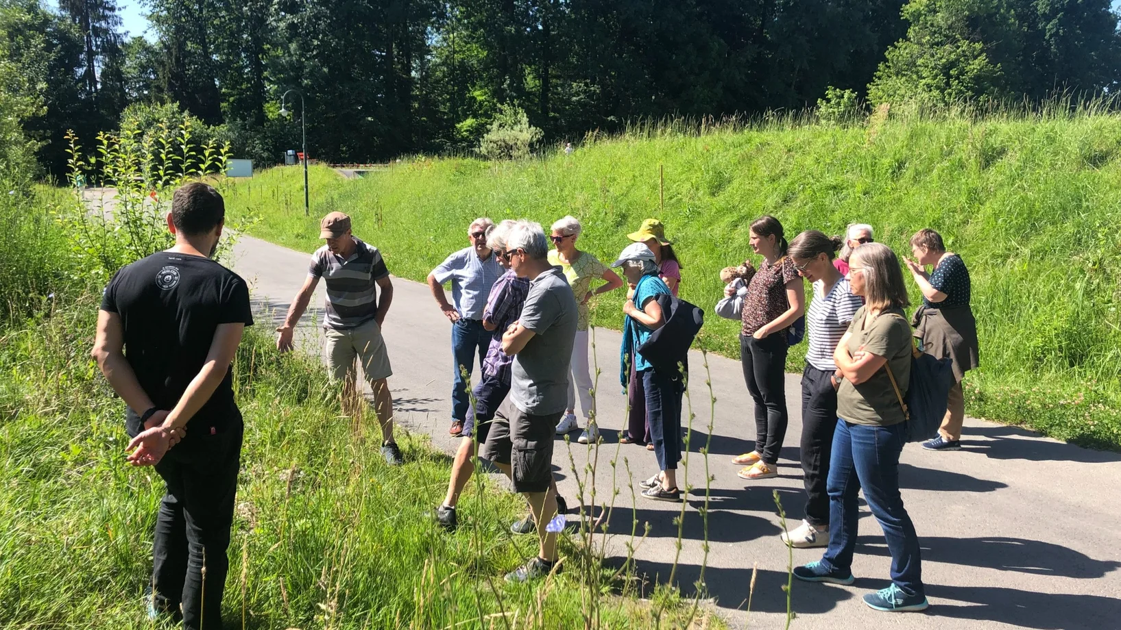 Biodiversität KNE Emmen