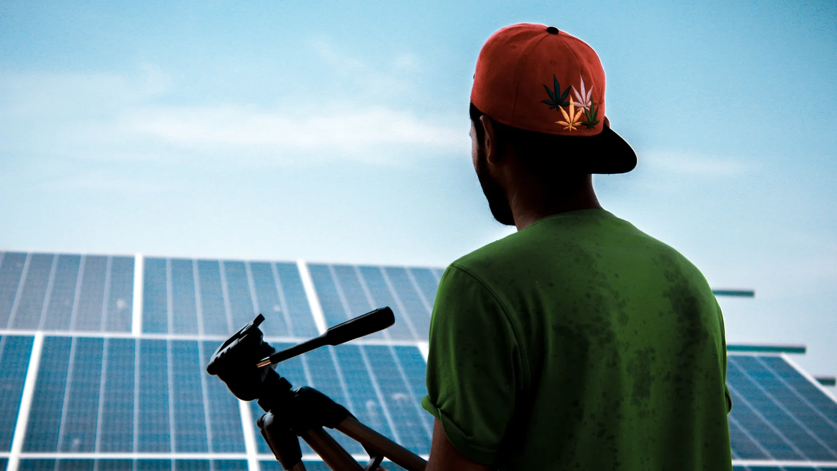 Man facing solar panels